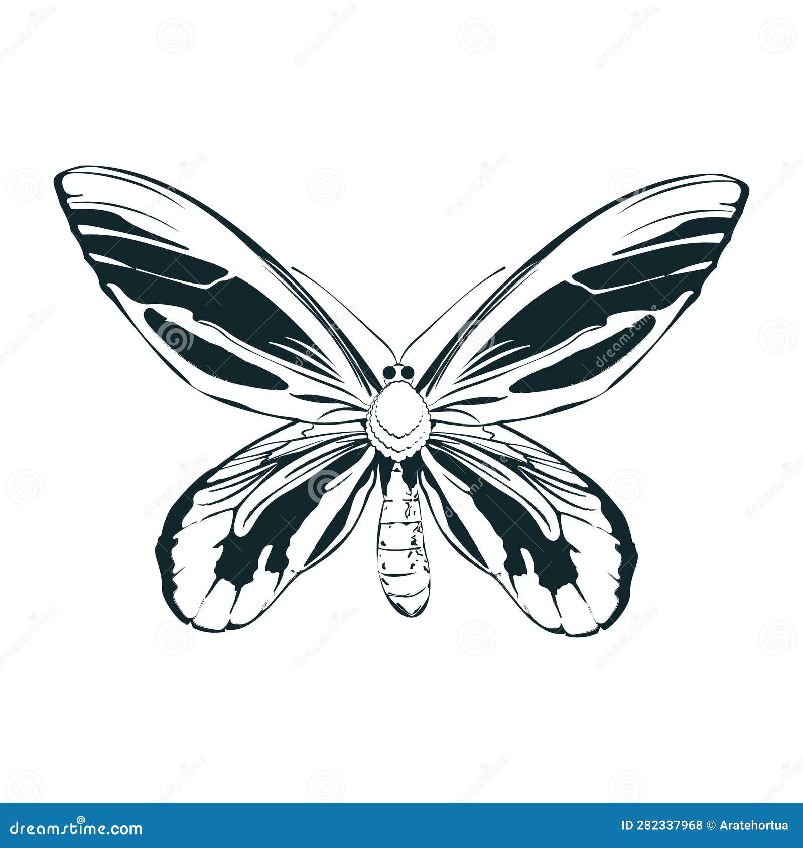 Vector Cartoon Queen Alexandra Butterfly Character Isolated ...