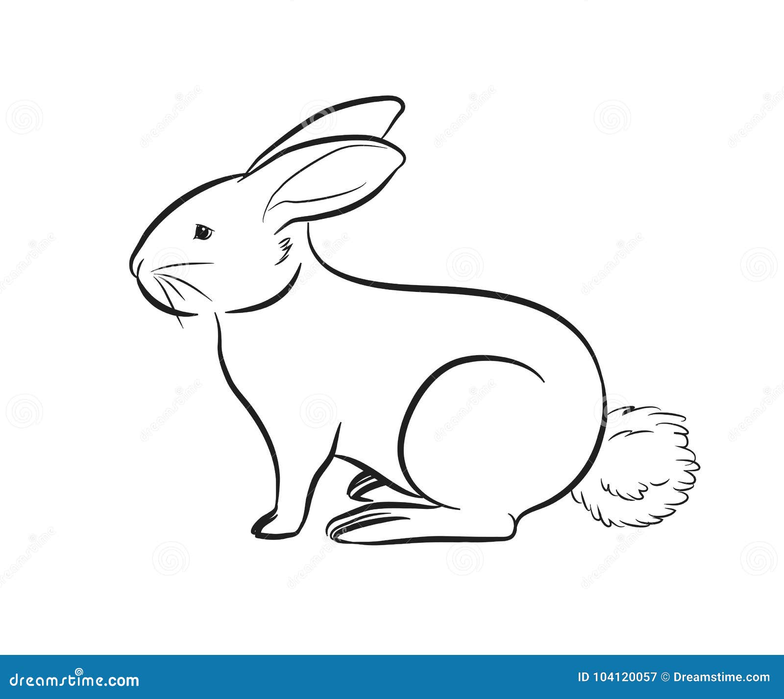 Cartoon Rabbit Outlining Vector Illustration Stock Vector - Illustration of  domestic, creature: 104120057