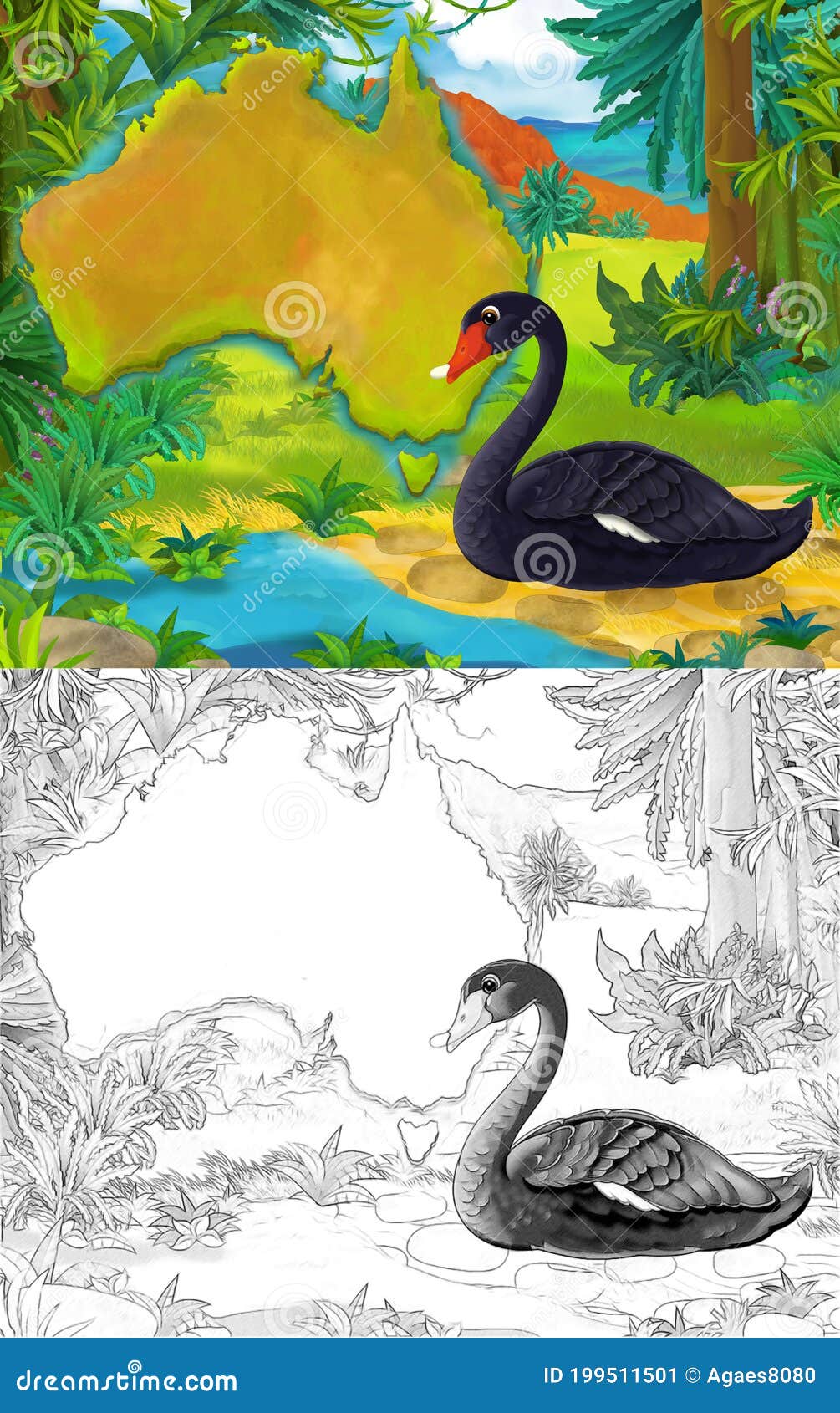 Cartoon Scene with Sketch Black Swan Bird with Continent Map - Illustration  Stock Illustration - Illustration of drawing, closeup: 199511501