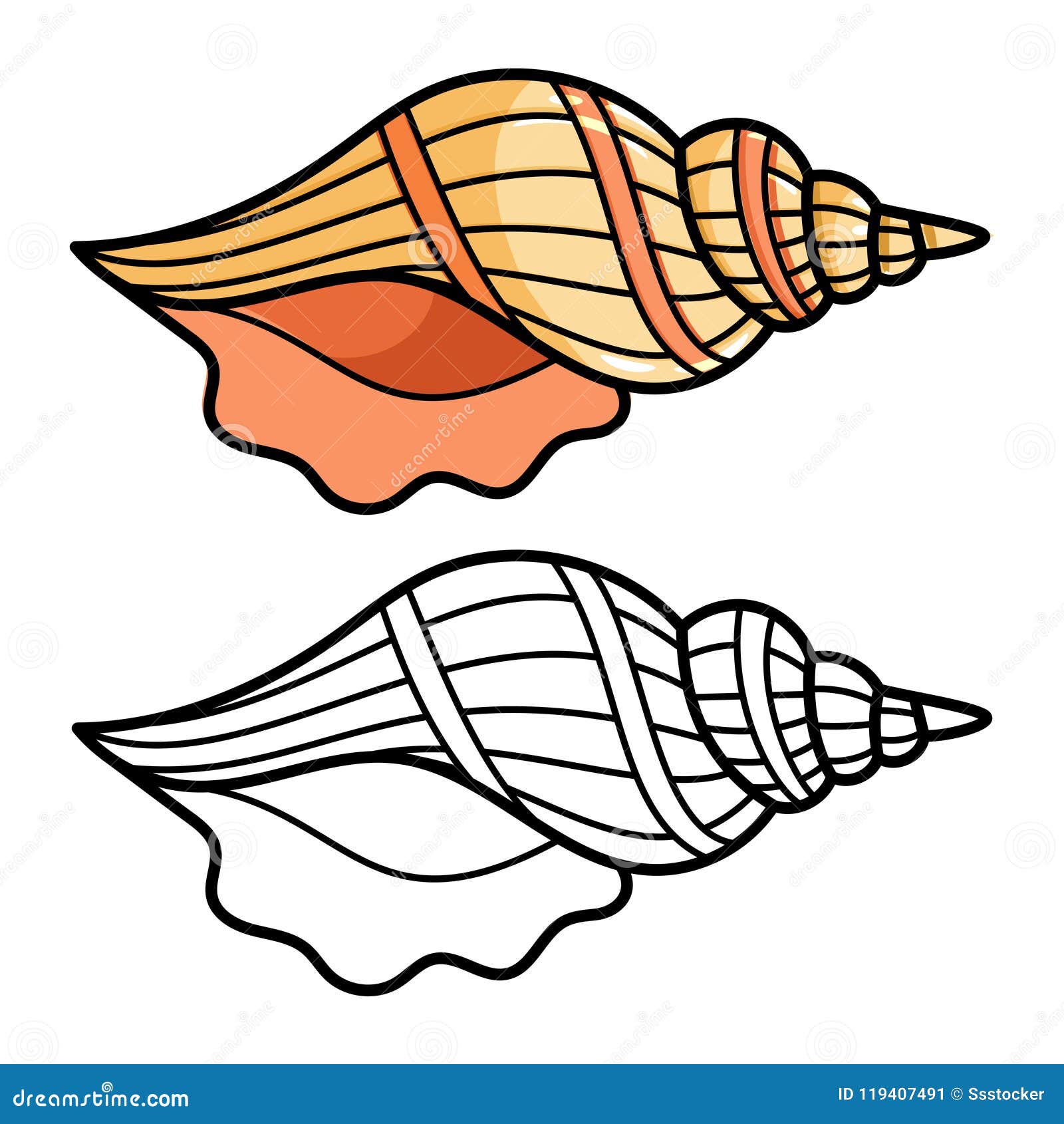 Cartoon Sea Shell Isolated on White Stock Vector - Illustration of natural,  marine: 119407491