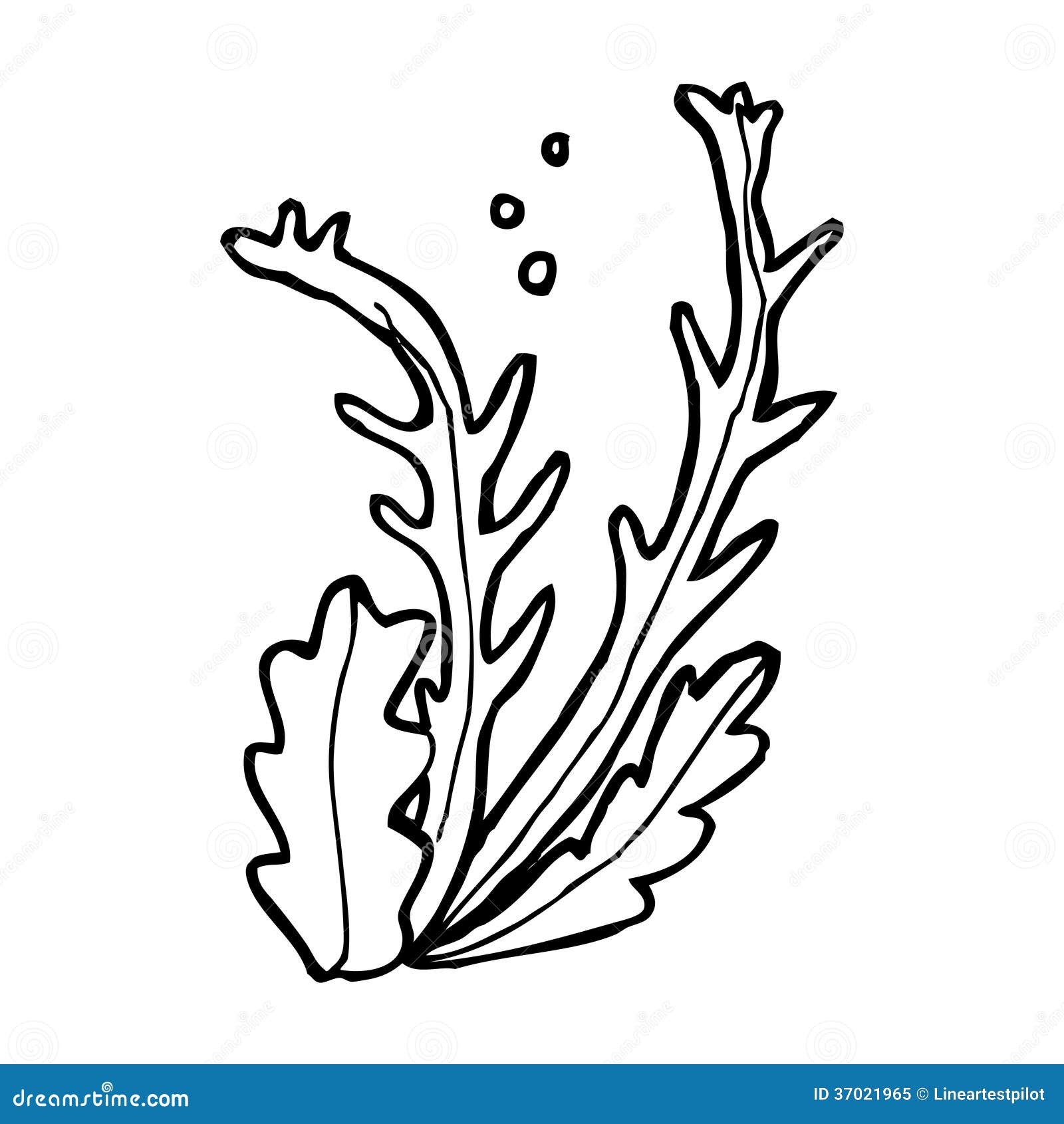 Cartoon seaweed stock illustration. Image of drawn, funny - 37021965