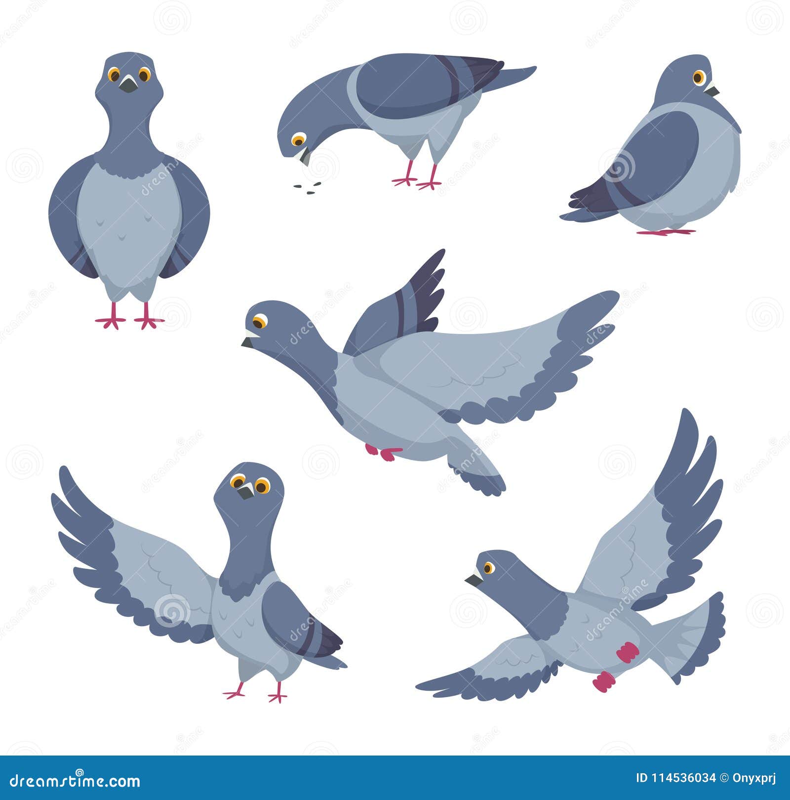 Cartoon Set of Funny Pigeons. Illustrations of Birds Stock Vector -  Illustration of flight, freedom: 114536034