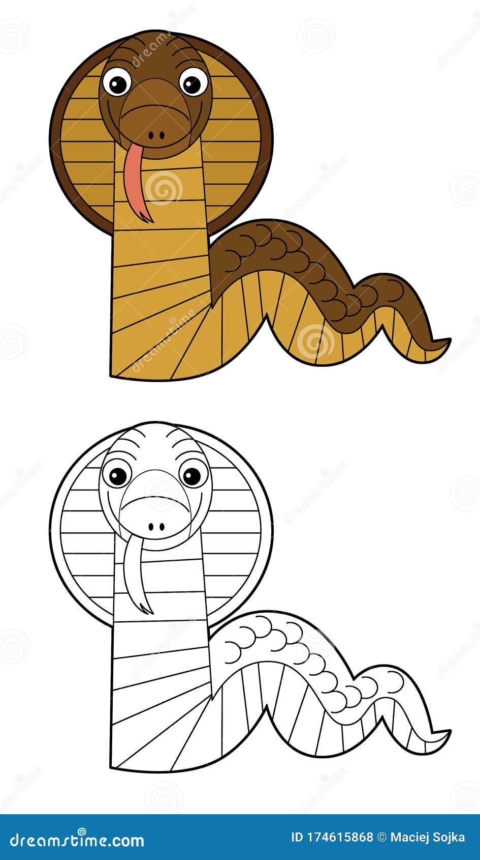 Cartoon Sketchbook Asian Scene with Snake Cobra on White Background with  Sign Name of Animal - Illustration Stock Illustration - Illustration of  drawing, colorful: 174615868