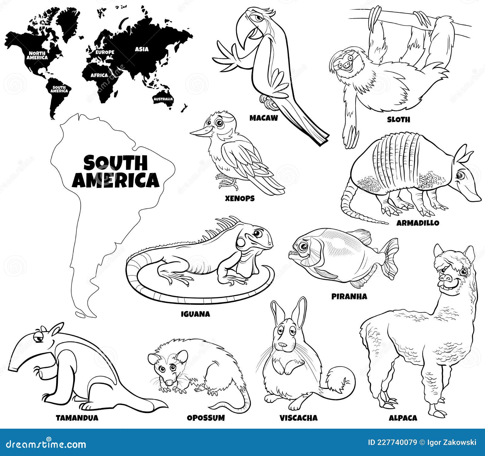 cartoon-south-american-animals-set-coloring-book-page-stock-vector