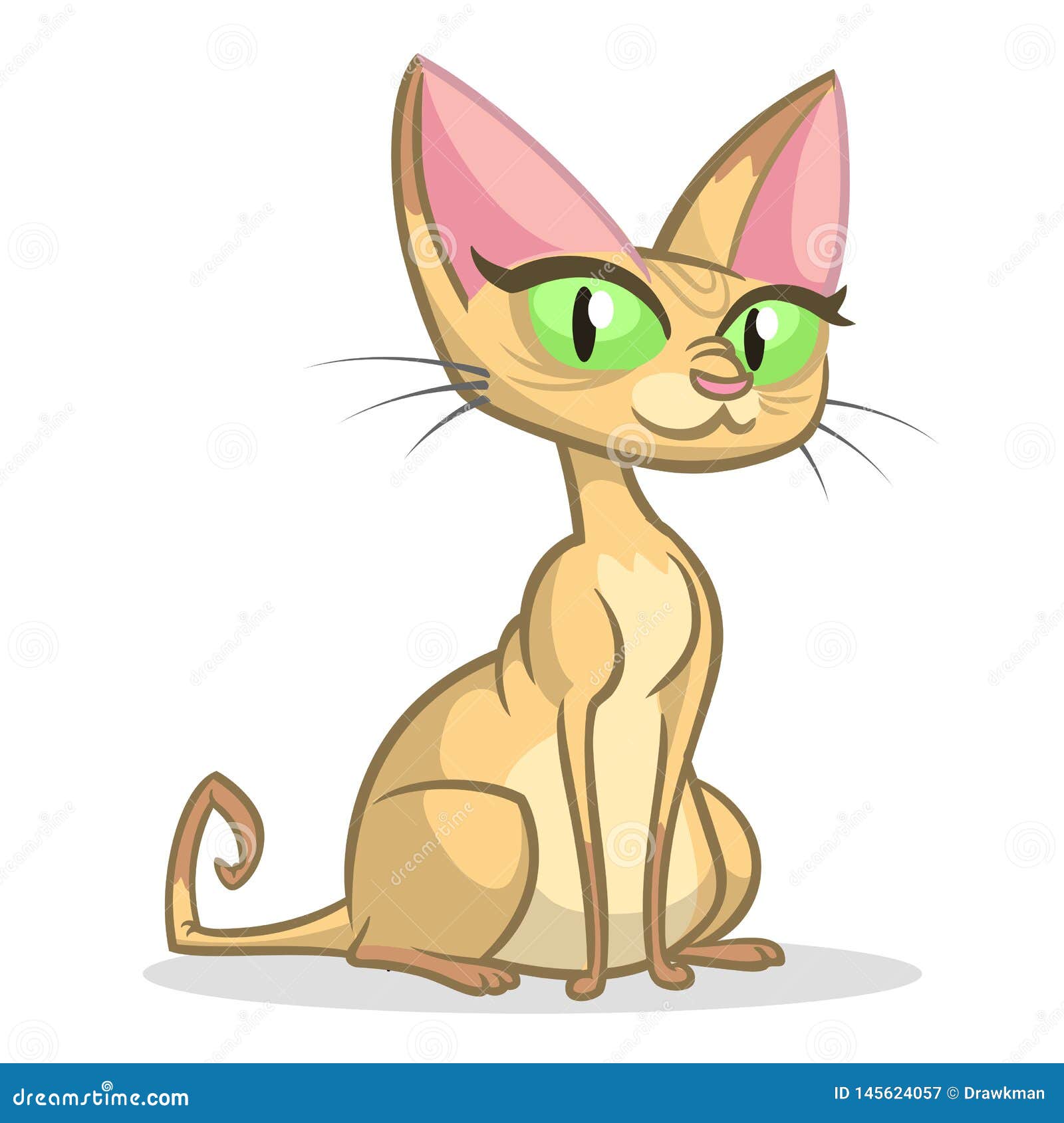 Cartoon Sphynx Cat Seamless Pattern Background | CartoonDealer.com