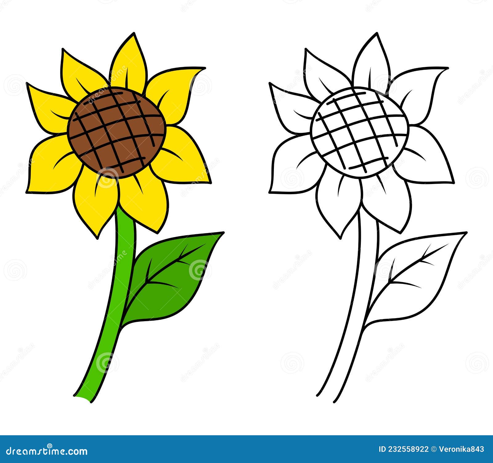 Cartoon Sunflower Colorful and Black and White. Coloring Book Page for Children Stock Vector - Illustration of flora, colouring: 232558922 Cartoon Sunflower Colorful and Black and White. Coloring Book Page for Children Stock Vector - Illustration of flora, colouring: 232558922