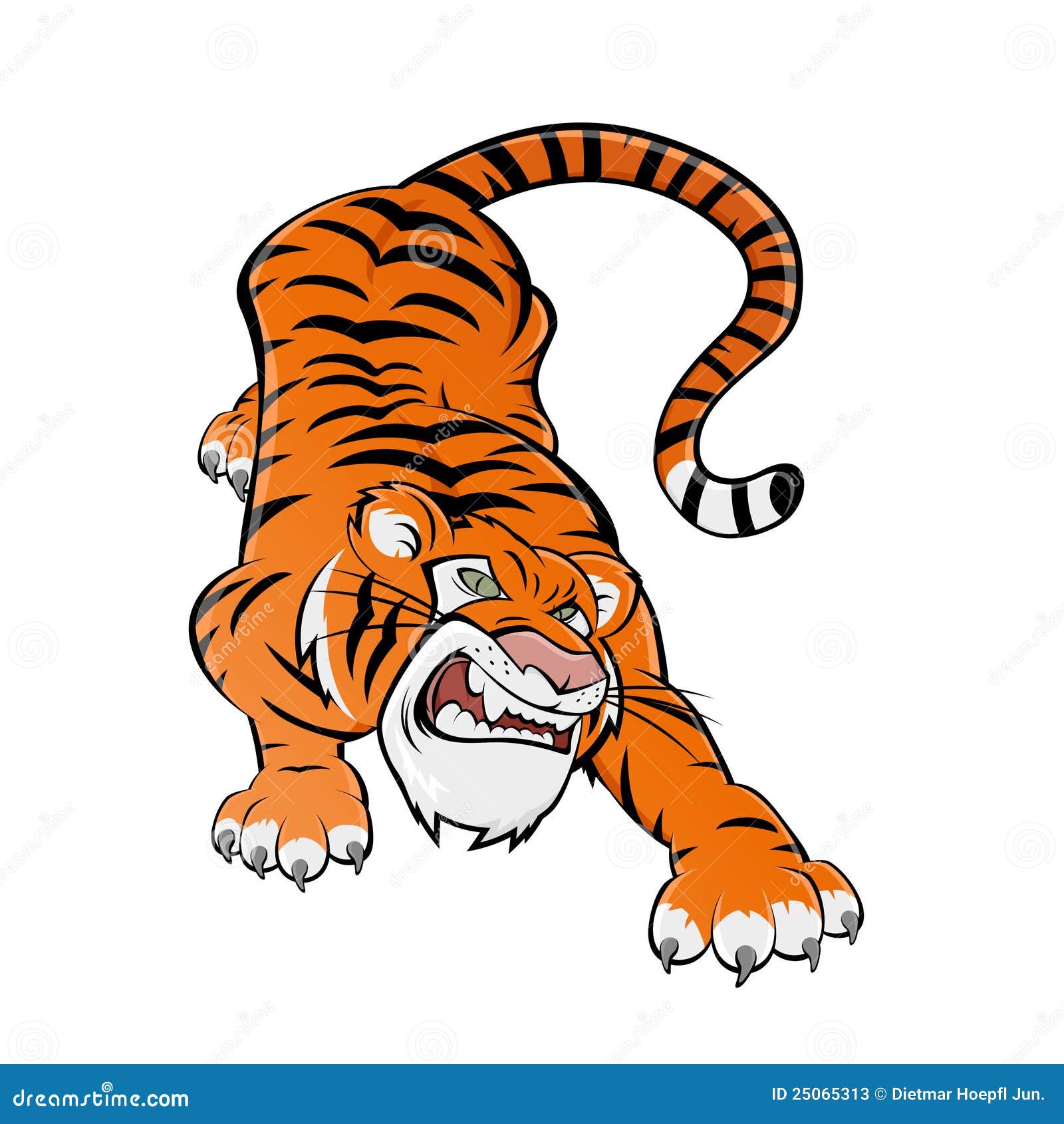 tiger cartoon images