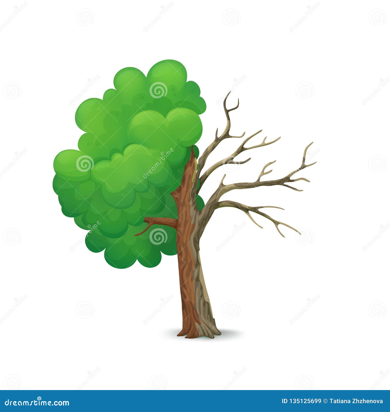 Cartoon Tree Split in Half Isolated on a White Background. Half with Lush Green Foliage and Leafless, Dying Half. Stock Vector - Illustration of foliage, green: 135125699 Cartoon Tree Split in Half Isolated on a White Background. Half with Lush Green Foliage and Leafless, Dying Half. Stock Vector - Illustration of foliage, green: 135125699