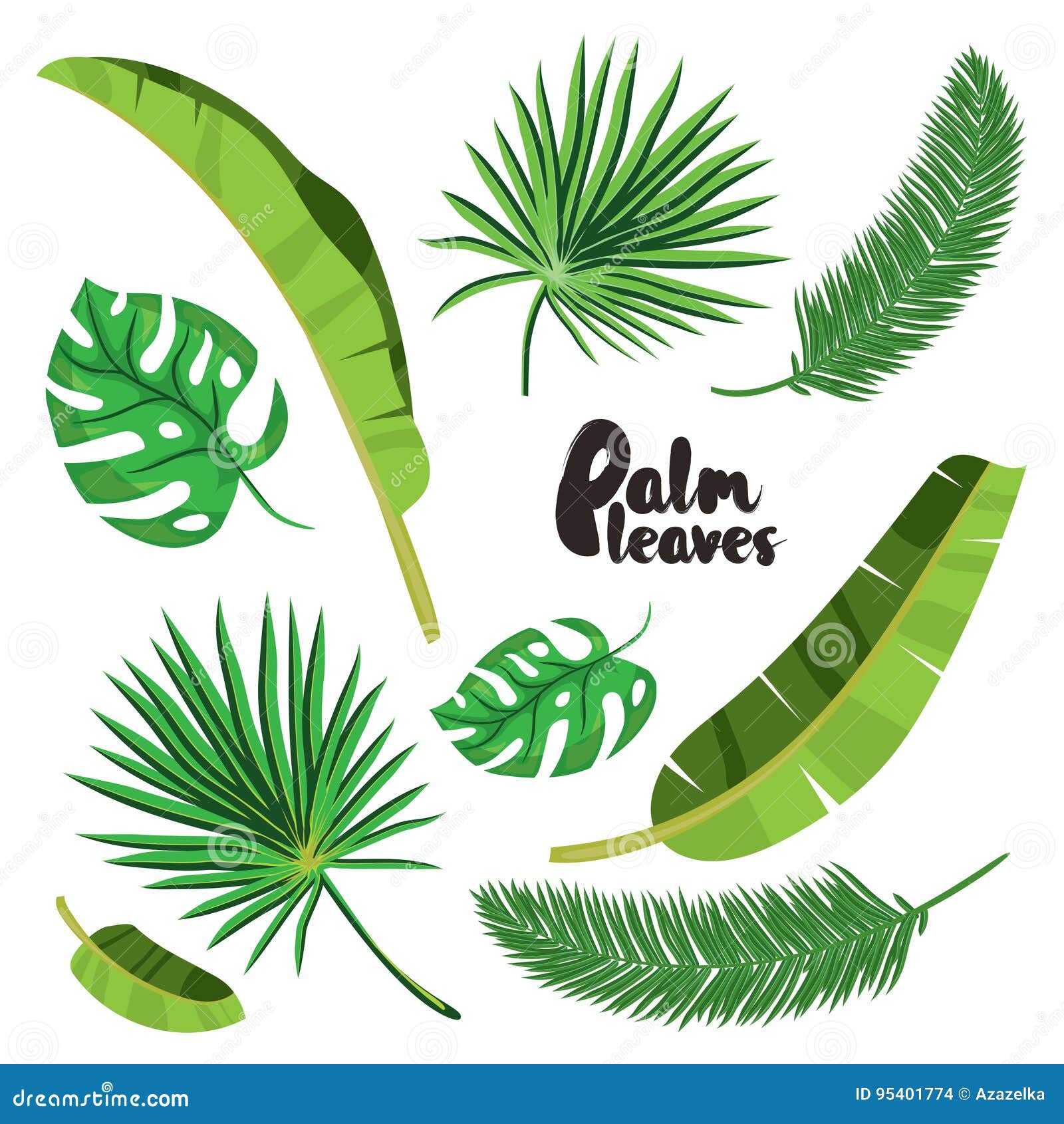 Cartoon Tropical Palm Leaves Set. Vector Illustrated on White Background.  Flat Vector Hand Drawn Palm Tree Elements Stock Vector - Illustration of  banana, hawaii: 95401774