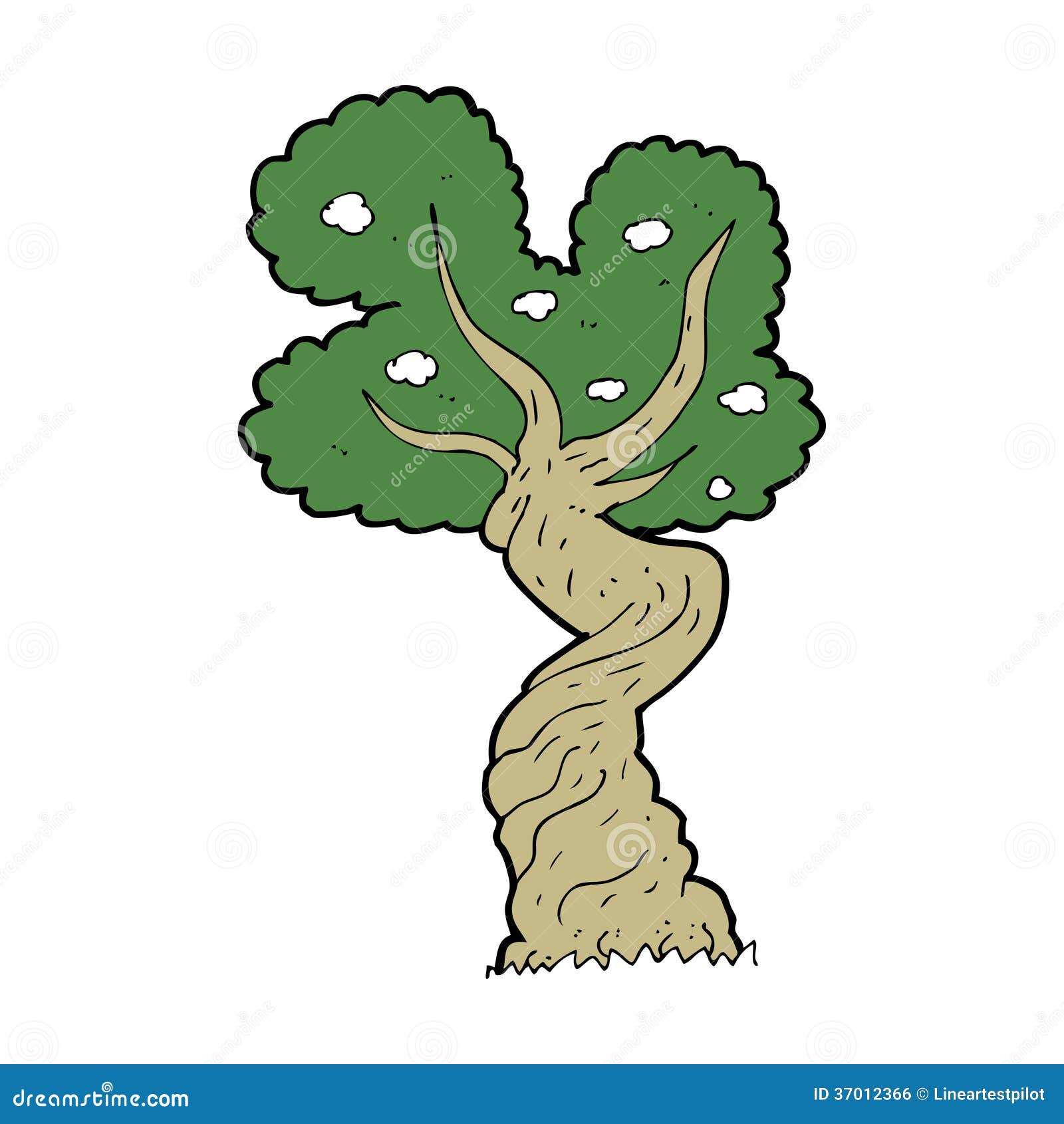 clip art juniper tree - photo #11