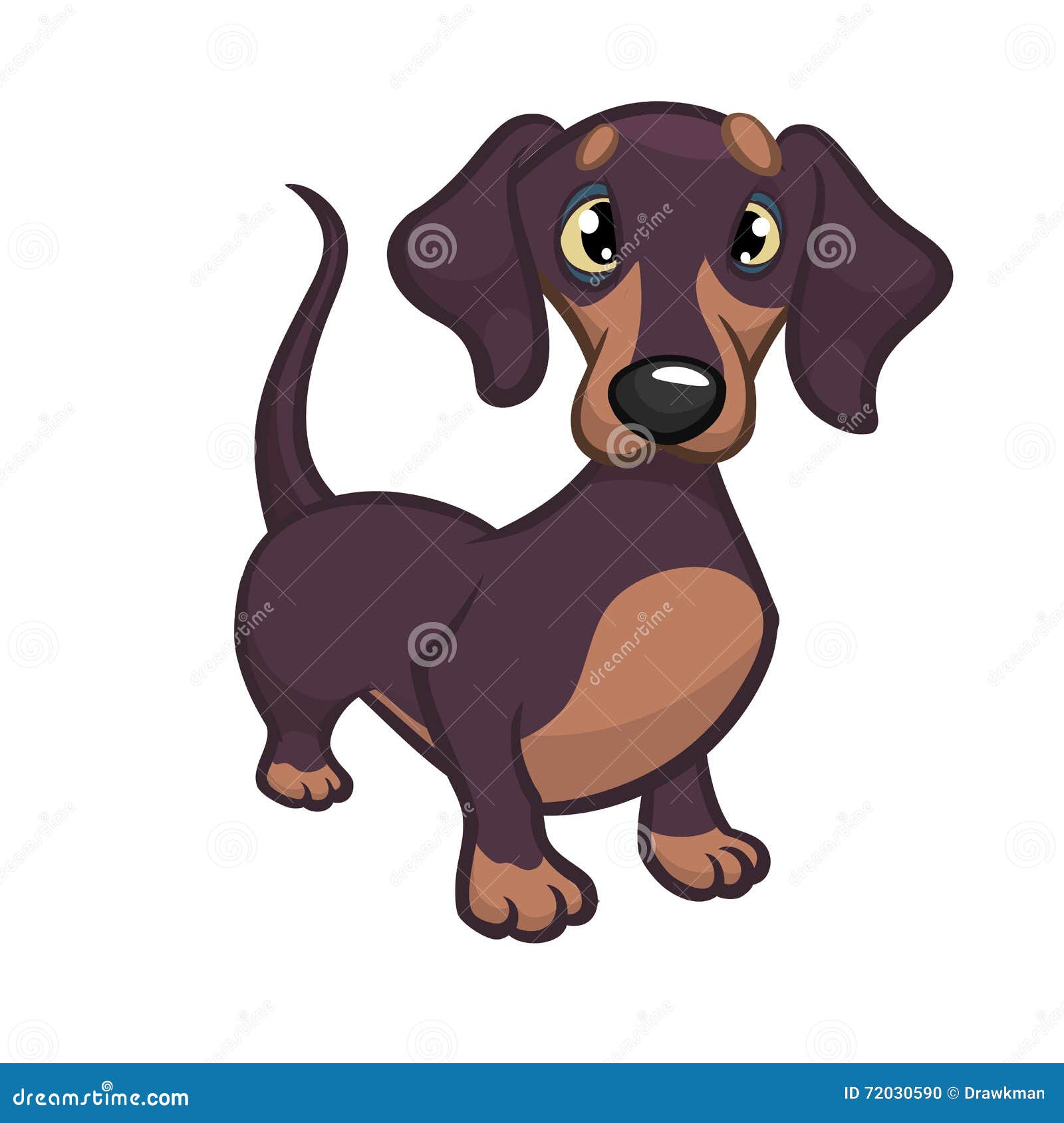 Cartoon Vector Illustration Of Cute Purebred Dachshund Dog