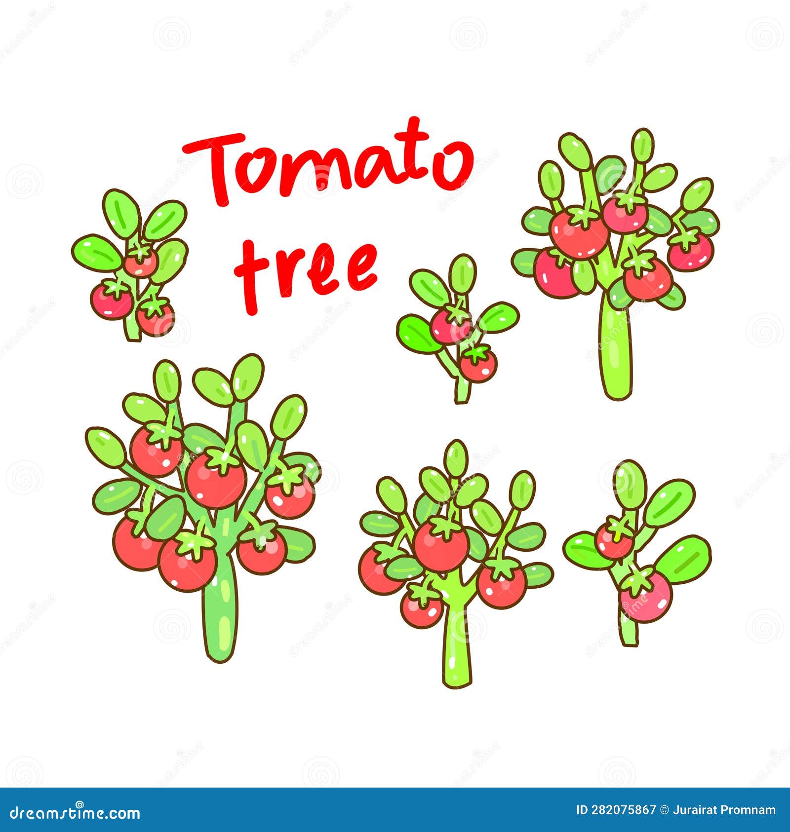 Set Tomato Tree on Background. Stock Illustration Illustration of