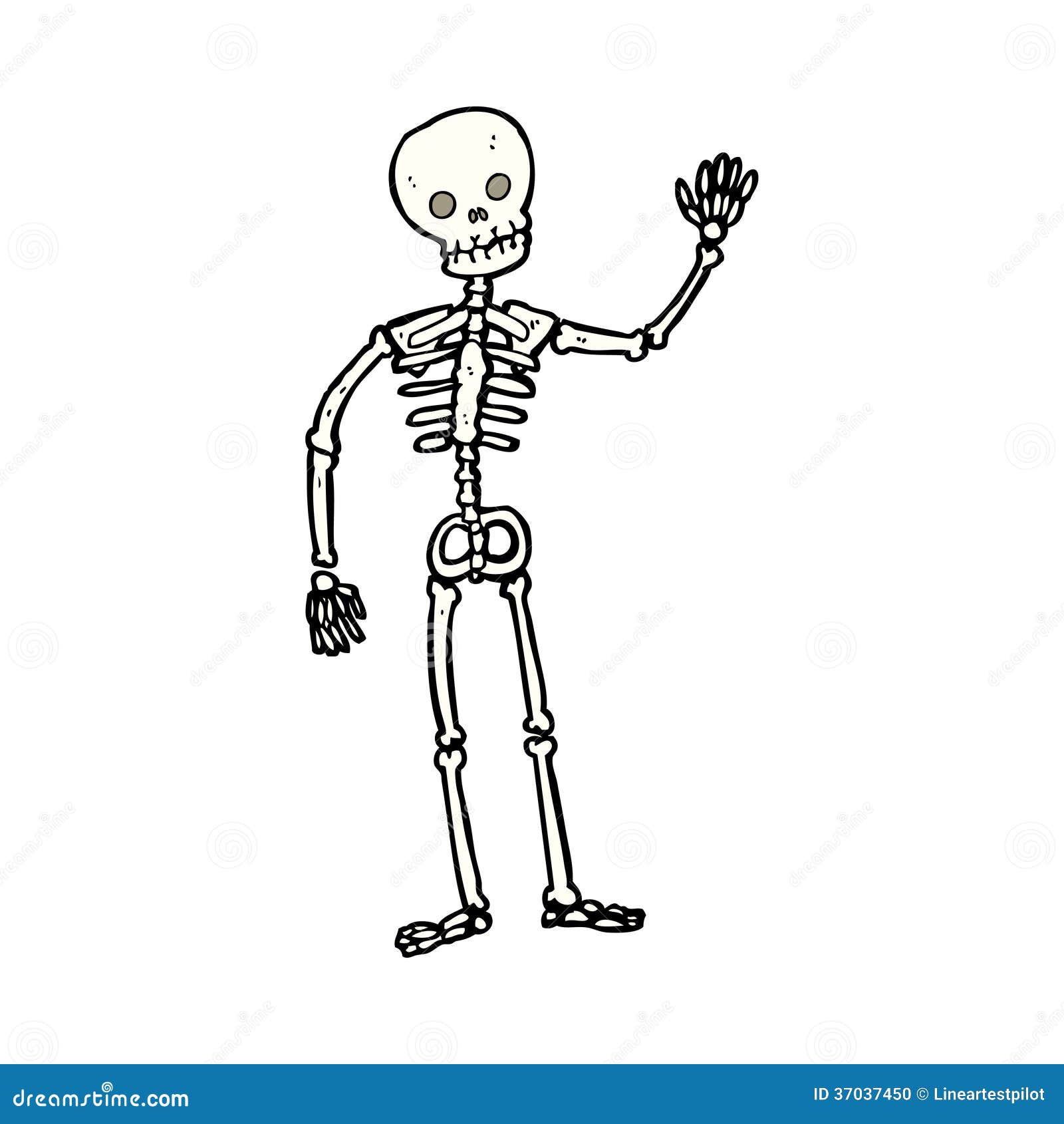 Cartoon waving skeleton stock vector. Illustration of skeleton - 37037450
