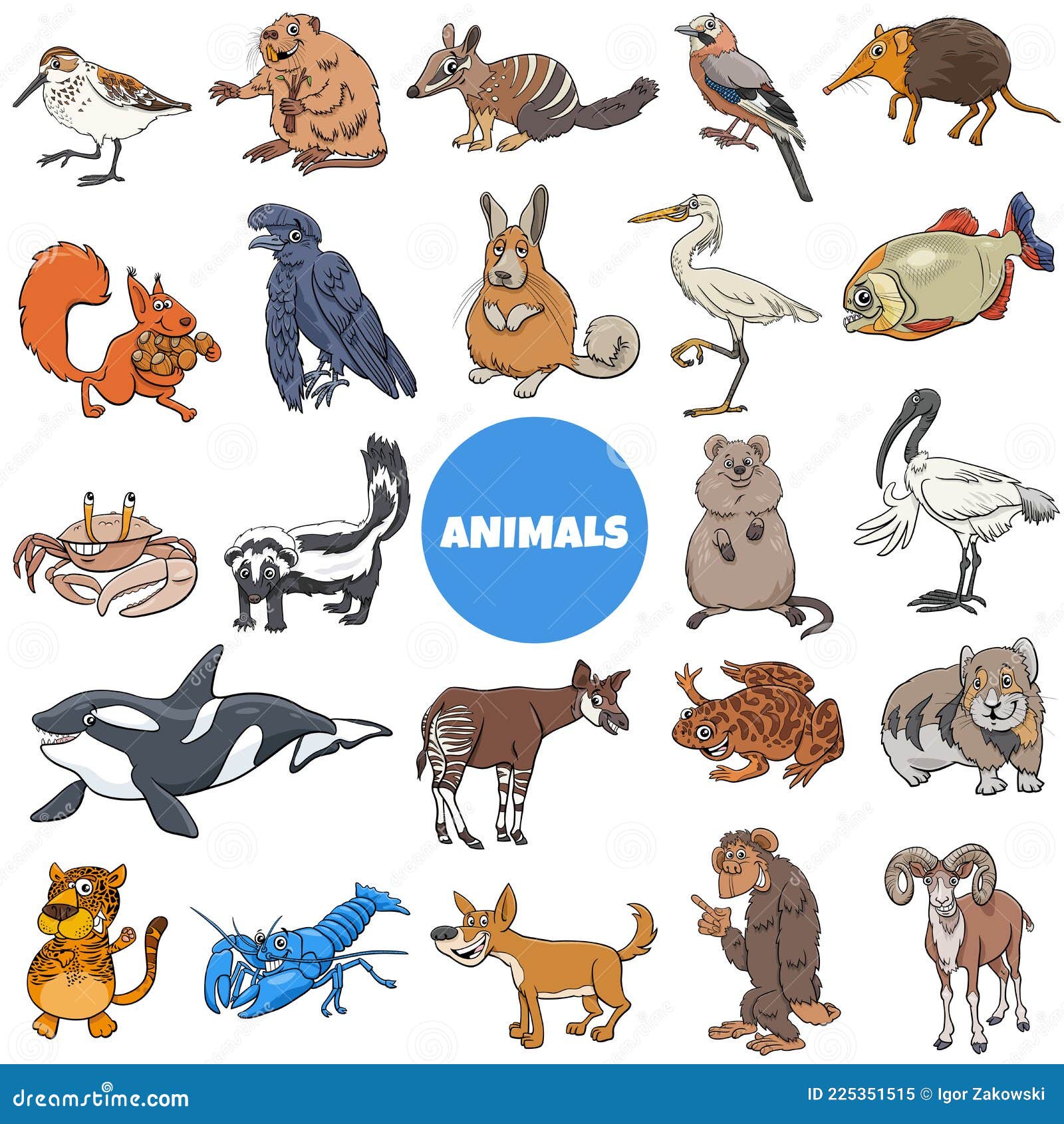 Cartoon Wild Animal Species Characters Big Set Stock Vector - Illustration  of collection, clip: 225351515
