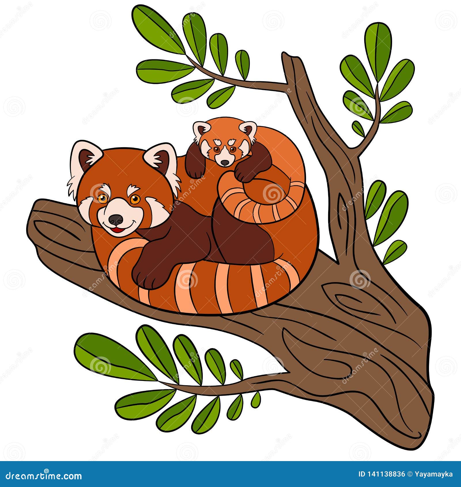 Cartoon Wild Animals. Mother Red Panda with Her Cute Baby Stock Vector -  Illustration of panda, colorful: 141138836