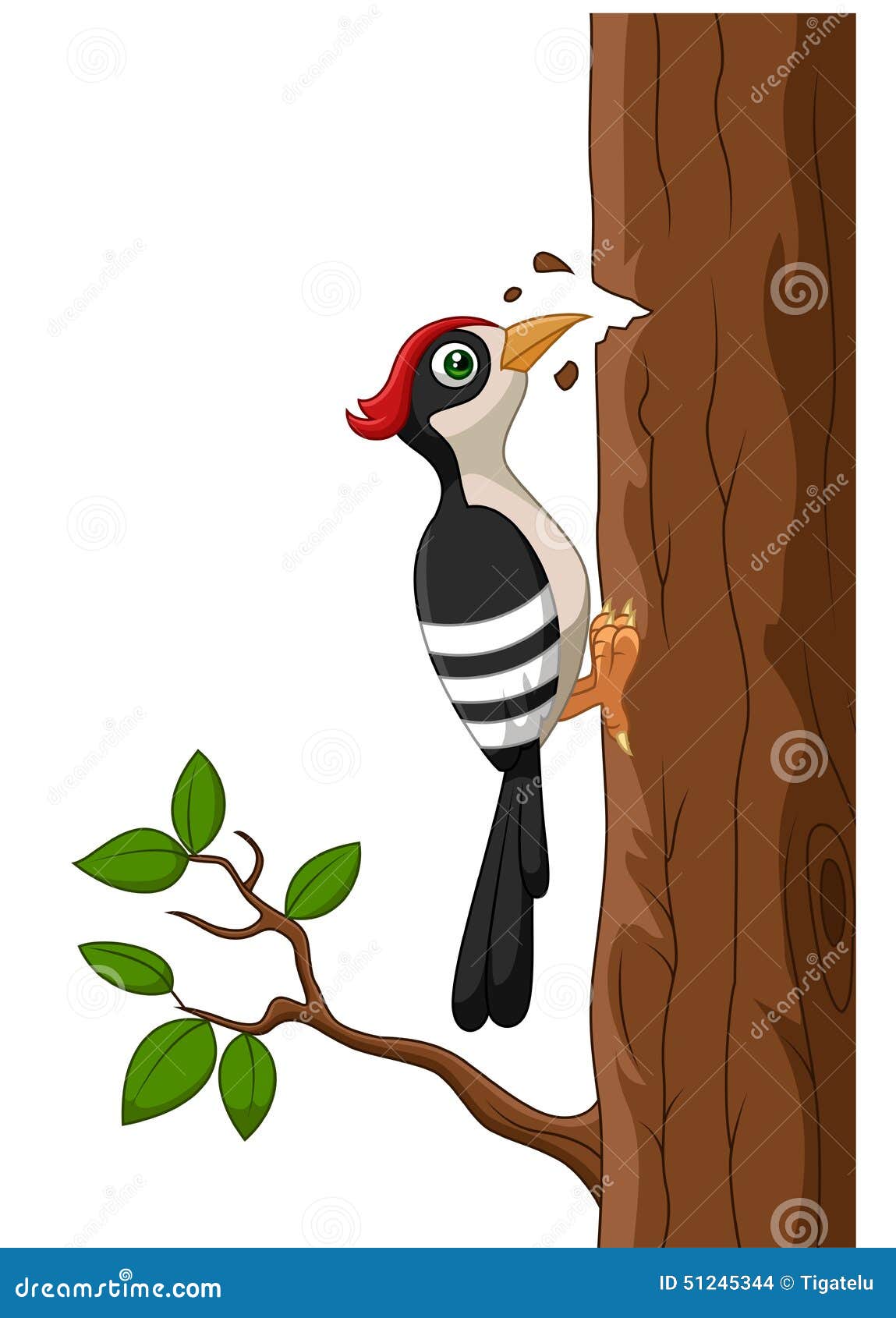 Cartoon Woodpecker Stock Illustrations – 2,192 Cartoon Woodpecker Stock Illustrations, Vectors & Clipart - Dreamstime Cartoon Woodpecker Stock Illustrations – 2,192 Cartoon Woodpecker Stock Illustrations, Vectors & Clipart - Dreamstime
