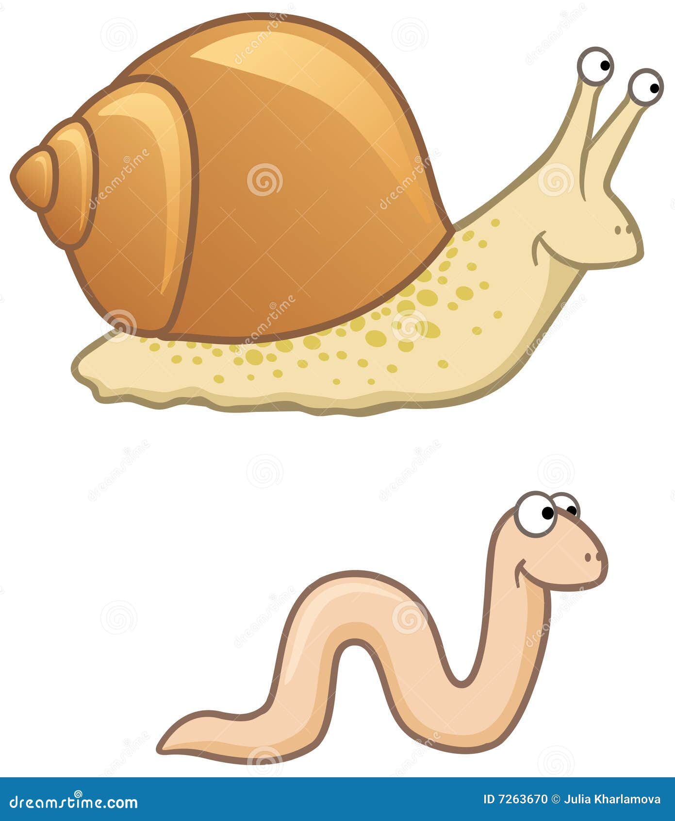 flat worm and snail flat worm and snail