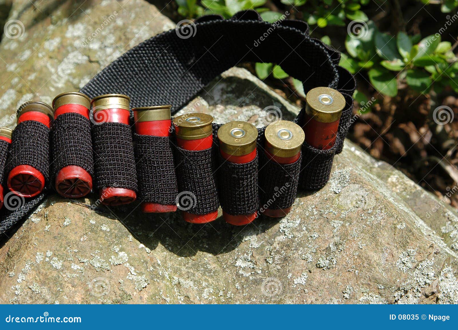 cartridge belt