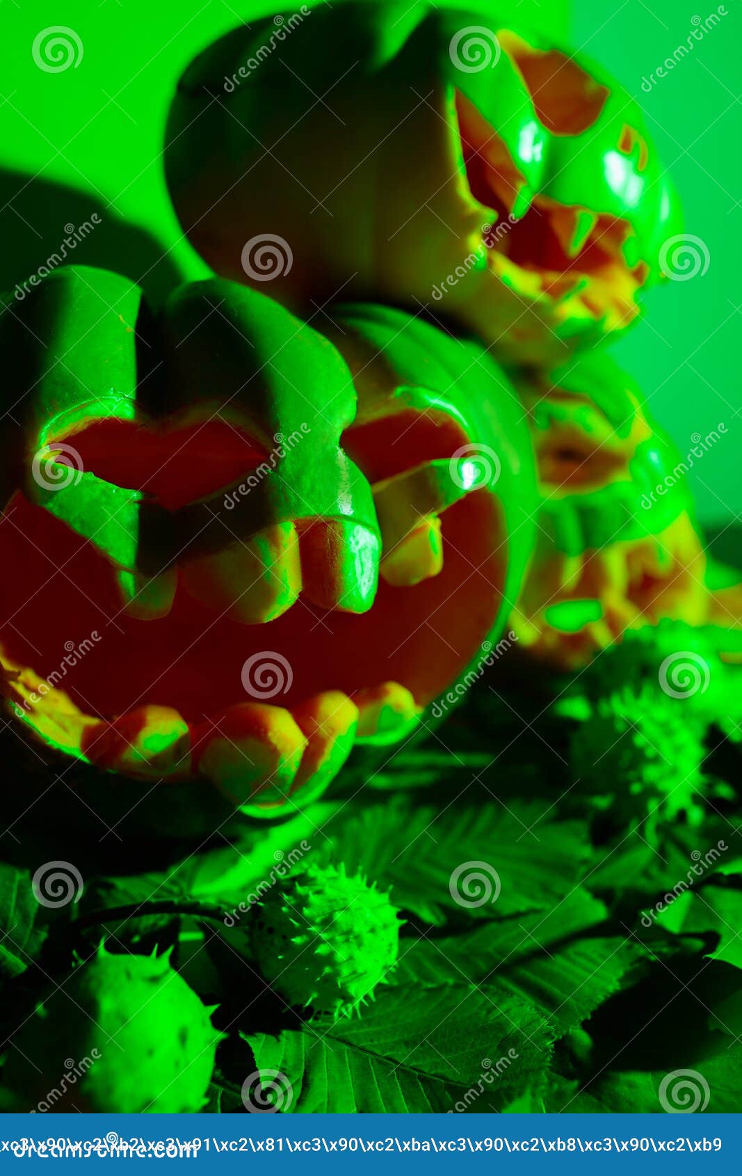 Carved Pumpkins for Halloween in Green Light Stock Photo Image of