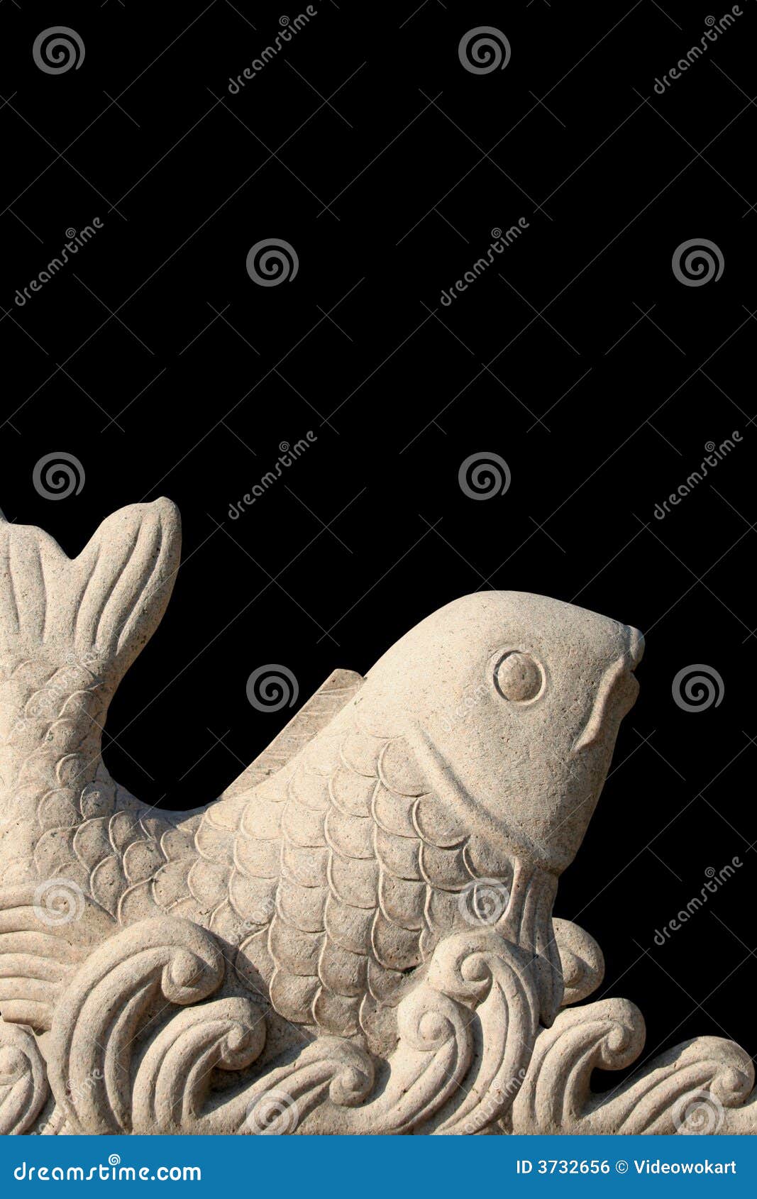 yellow stone fish yellow stone fish