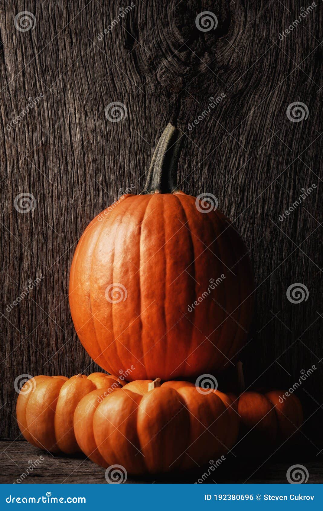 Carving Pumpkin on Top of Three Decorative Mini Pumpkins, Vertical ...
