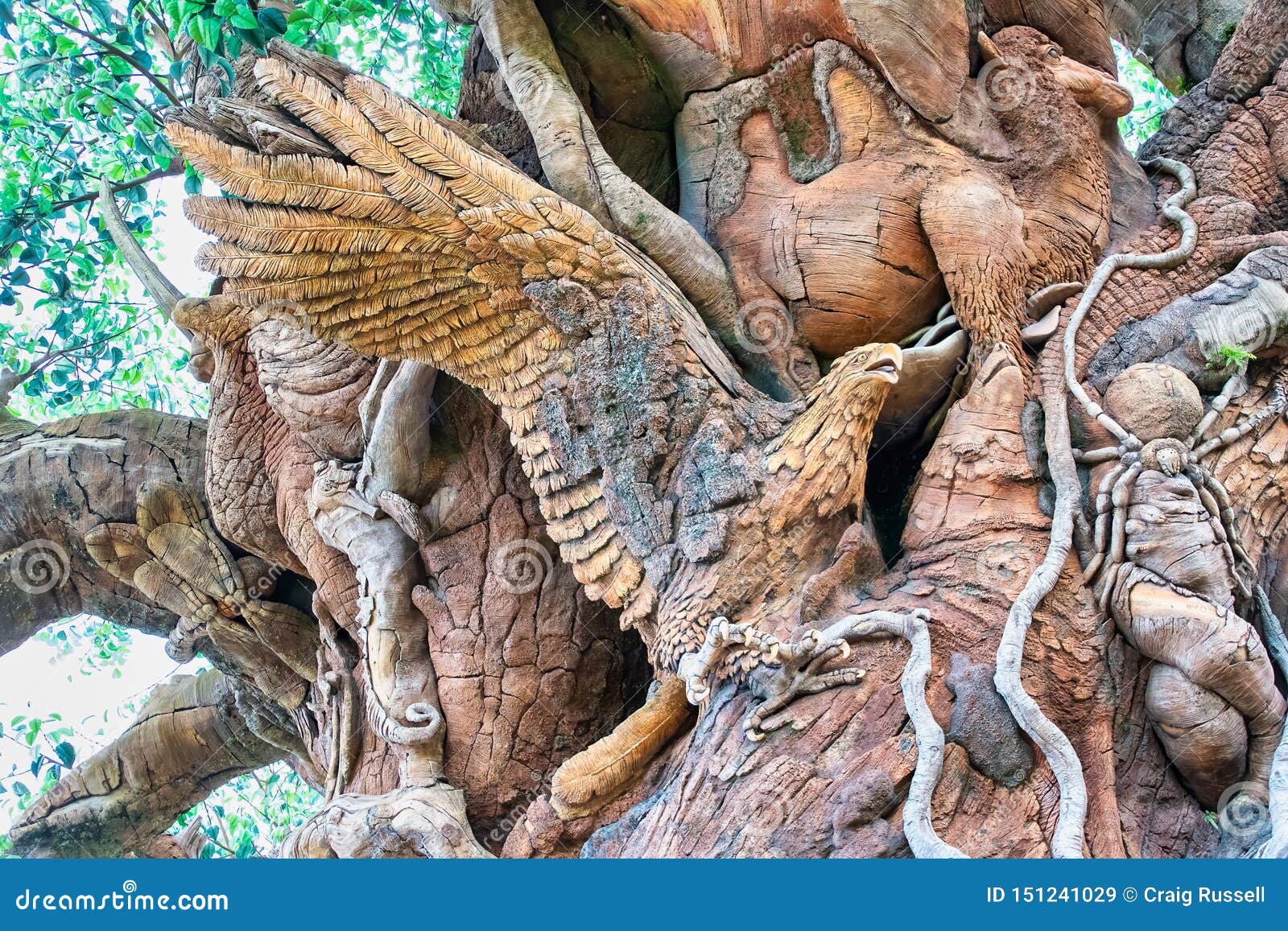 Download Carvings On The Tree Of Life At Disney's Animal Kingdom ...