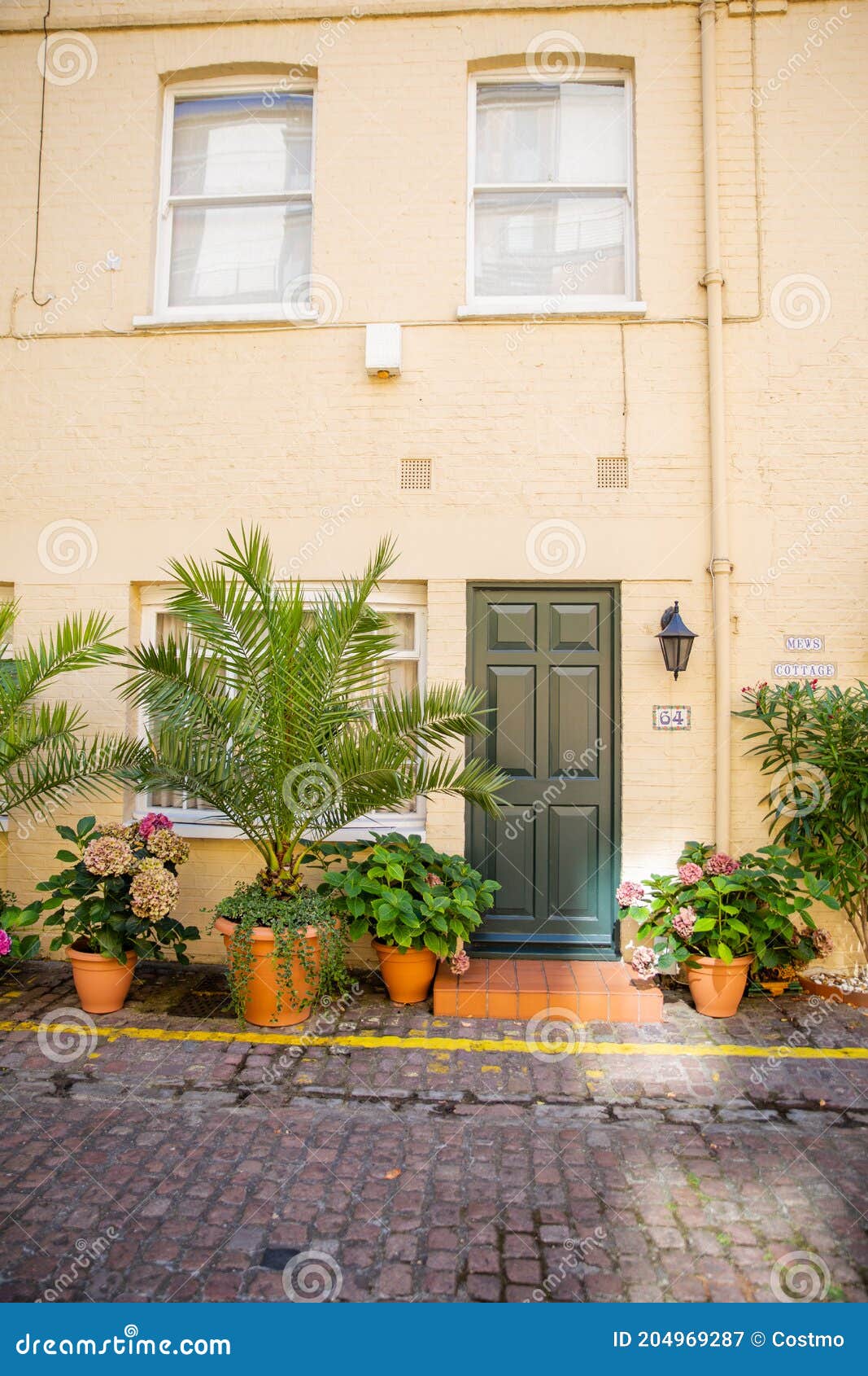 Casa Britânica Amarela Com Plantas Fora Das Janelas Imagem de Stock -  Imagem de londres, urbano: 204969287