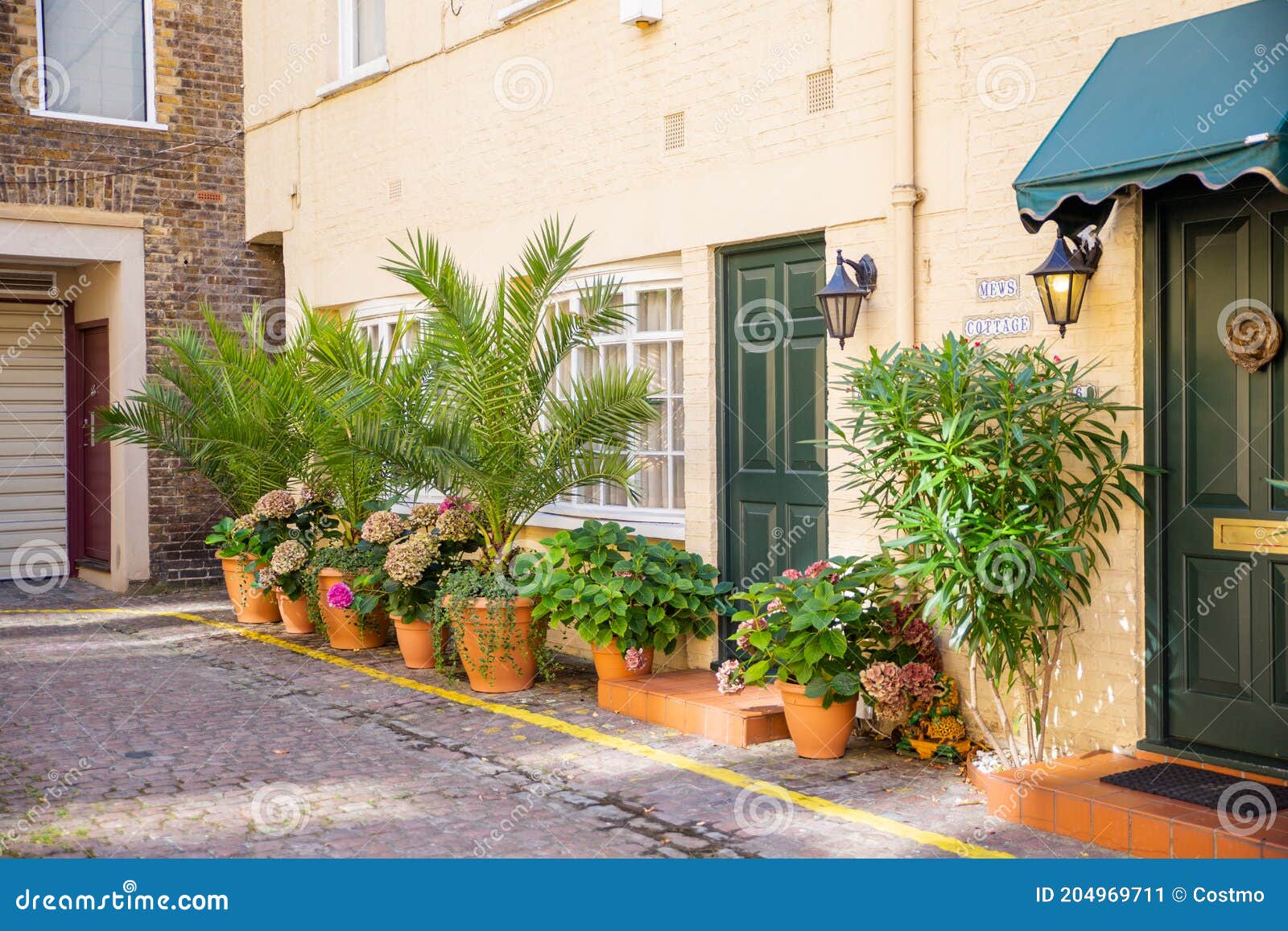 Casa Britânica Amarela Com Plantas Fora Das Janelas Imagem de Stock -  Imagem de estrada, vitoriano: 204969711