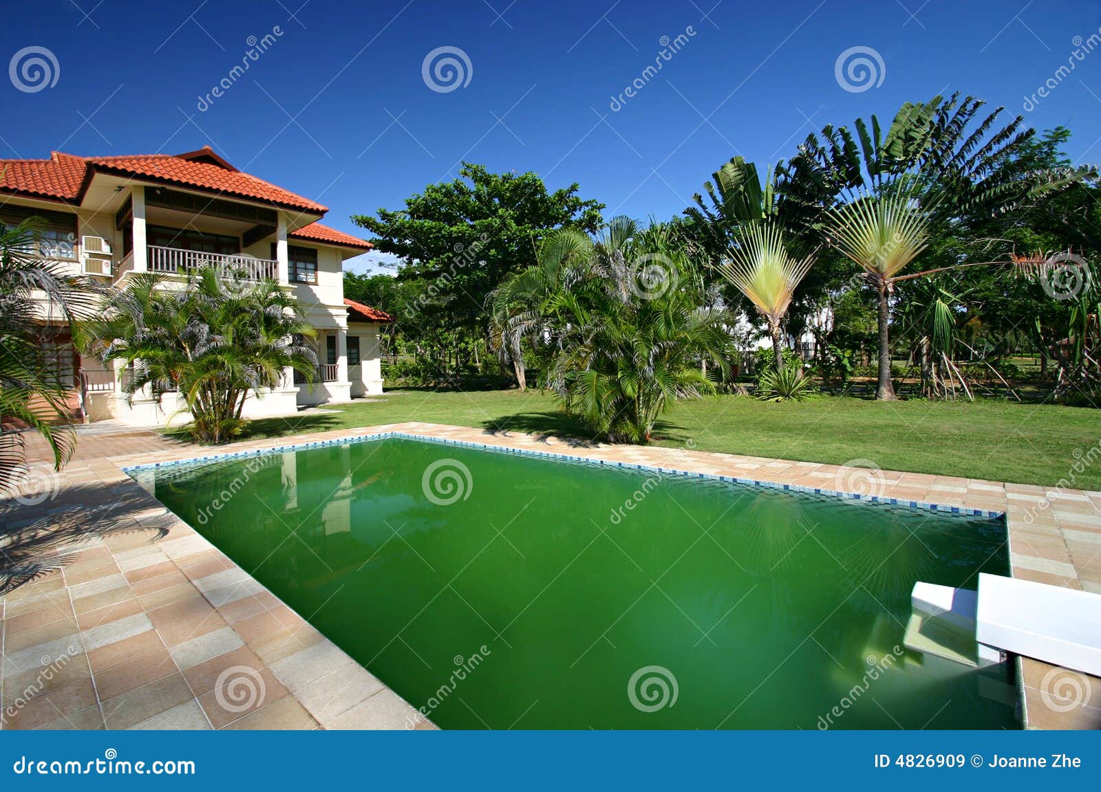 11,274 Paisajismo De La Piscina Fotos de stock - Fotos libres de regalías  de Dreamstime, image size:1600x1152