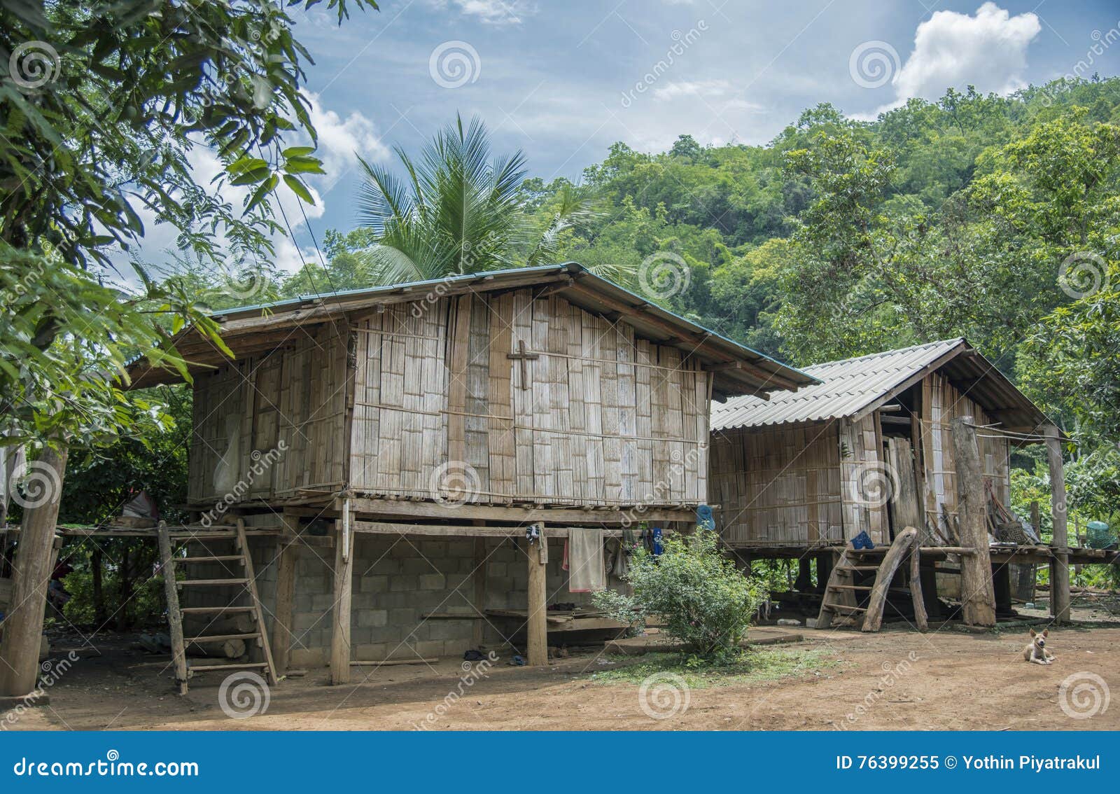 Casa de bambú en la selva imagen de archivo. Imagen de tropical - 76399255