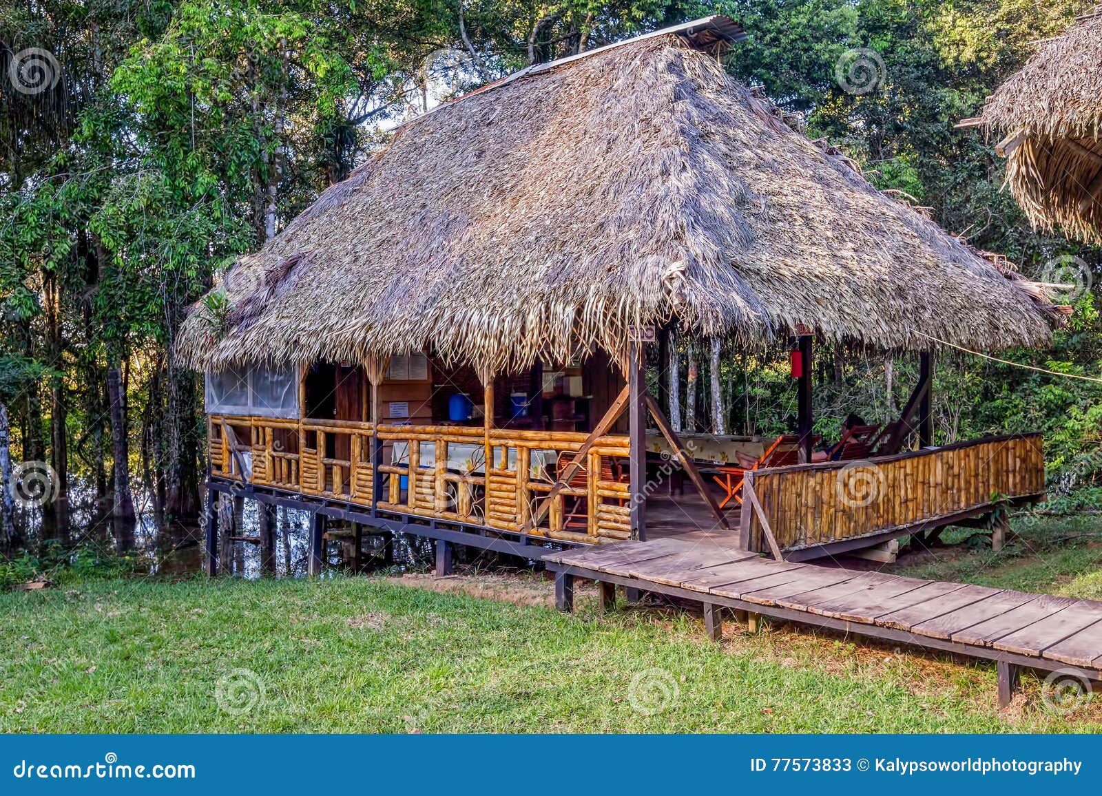 Casa De Campo De Eco Hecha Del Bambú, Selva Amazónica Imagen de archivo -  Imagen de casa, ambiente: 77573833