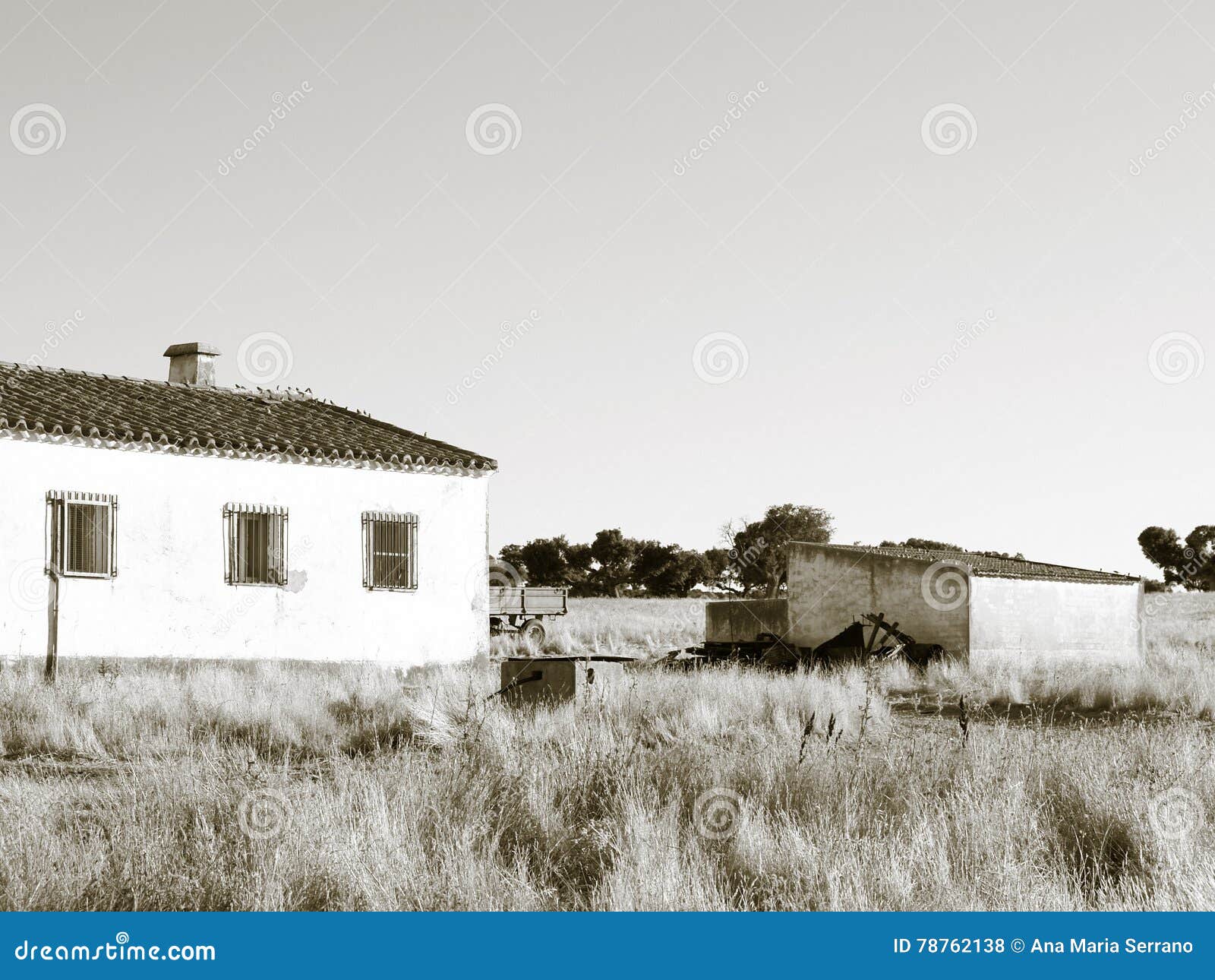 Casa De Campo En Verano En Blanco Y Negro Foto de archivo - Imagen de