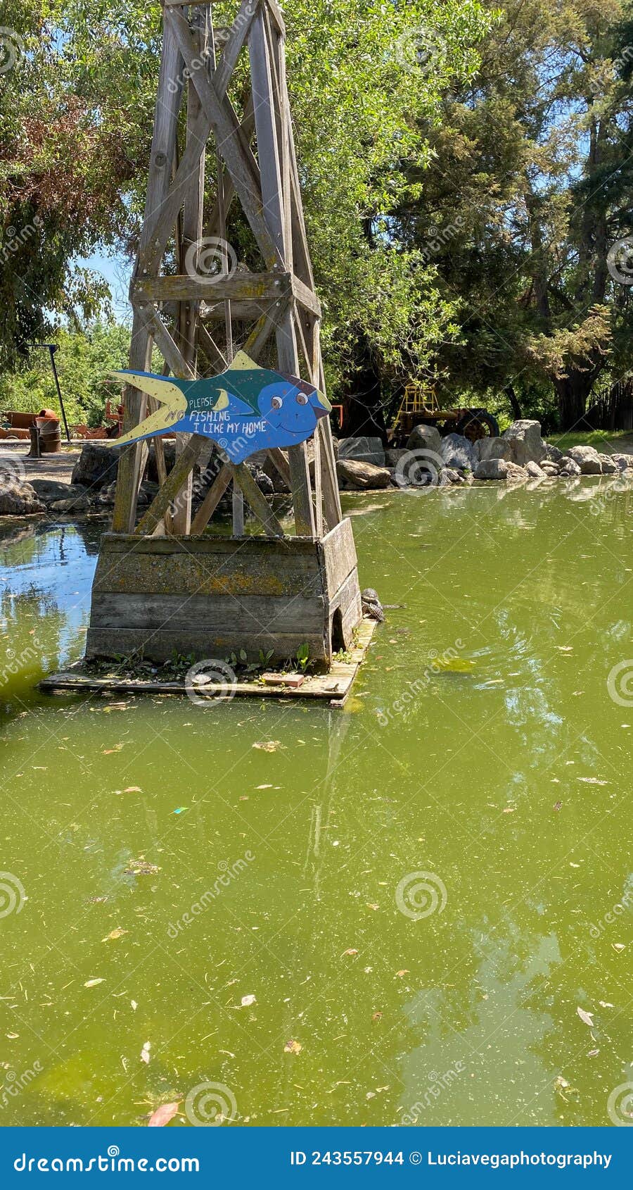 casa de fruta pond in the area