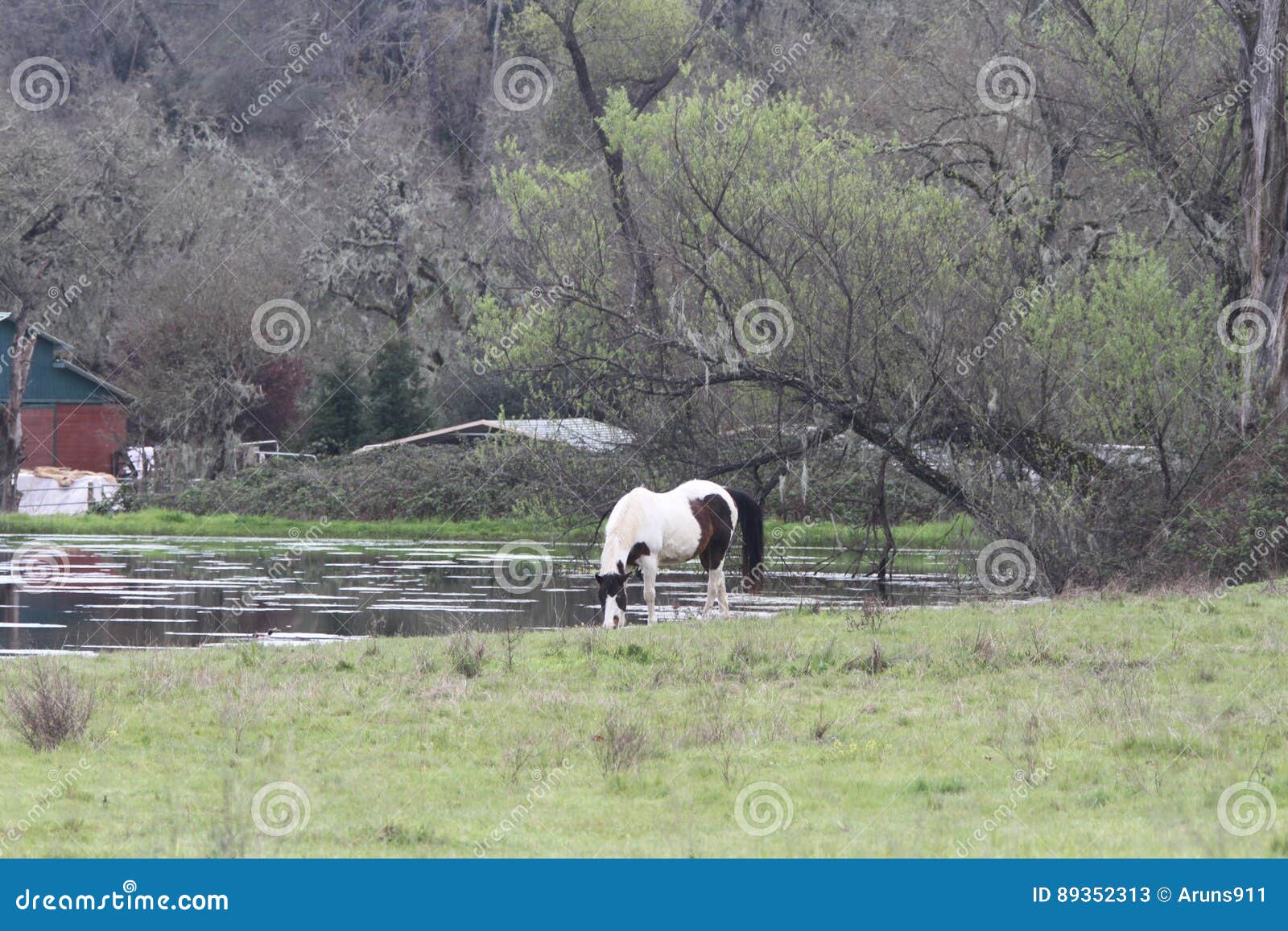 Casa De La Granja En California Imagen de archivo Imagen de charca, california 89352313