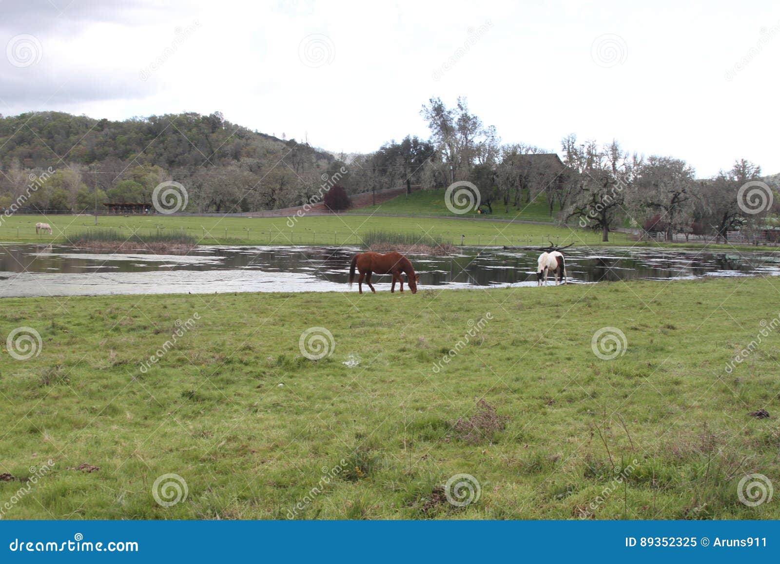 Casa De La Granja En California Imagen de archivo Imagen de wildflower, california 89352325