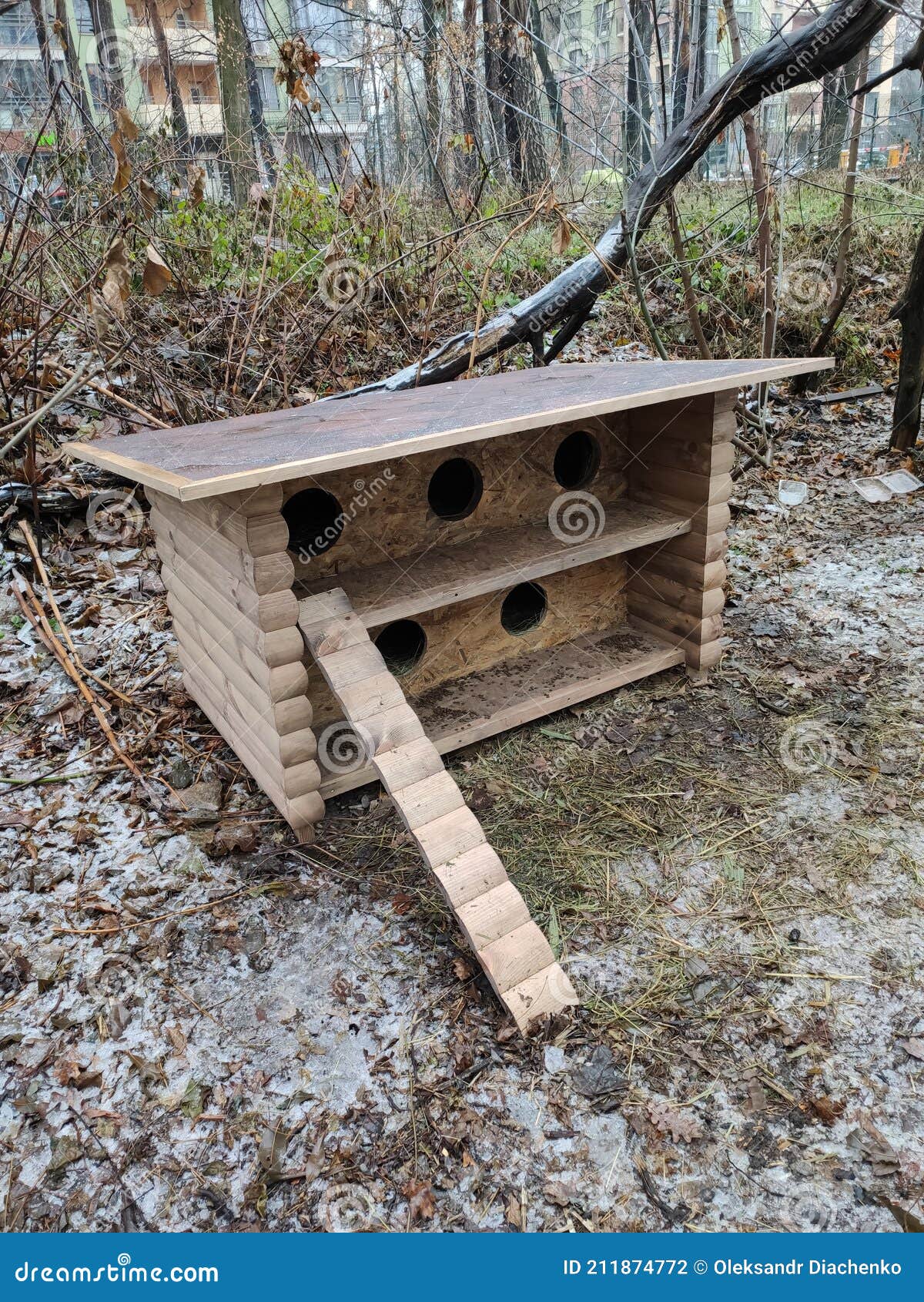 Casa De Madera En El Bosque Para Gatos Foto de archivo - Imagen de animal,  paisaje: 211874772