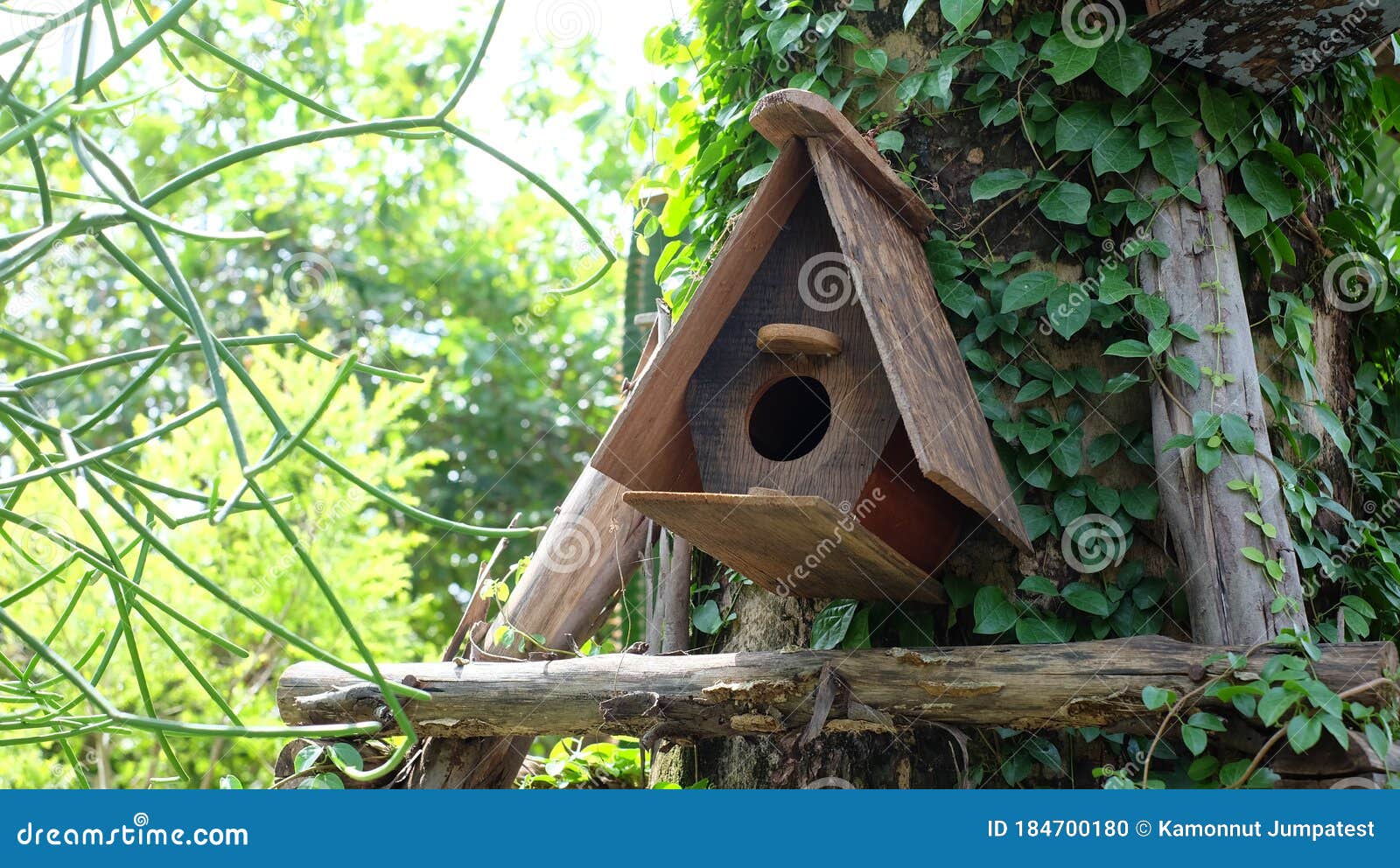 Casa De Pájaro De Madera Colgando Del árbol. Foto de archivo - Imagen de  travieso, adorne: 184700180
