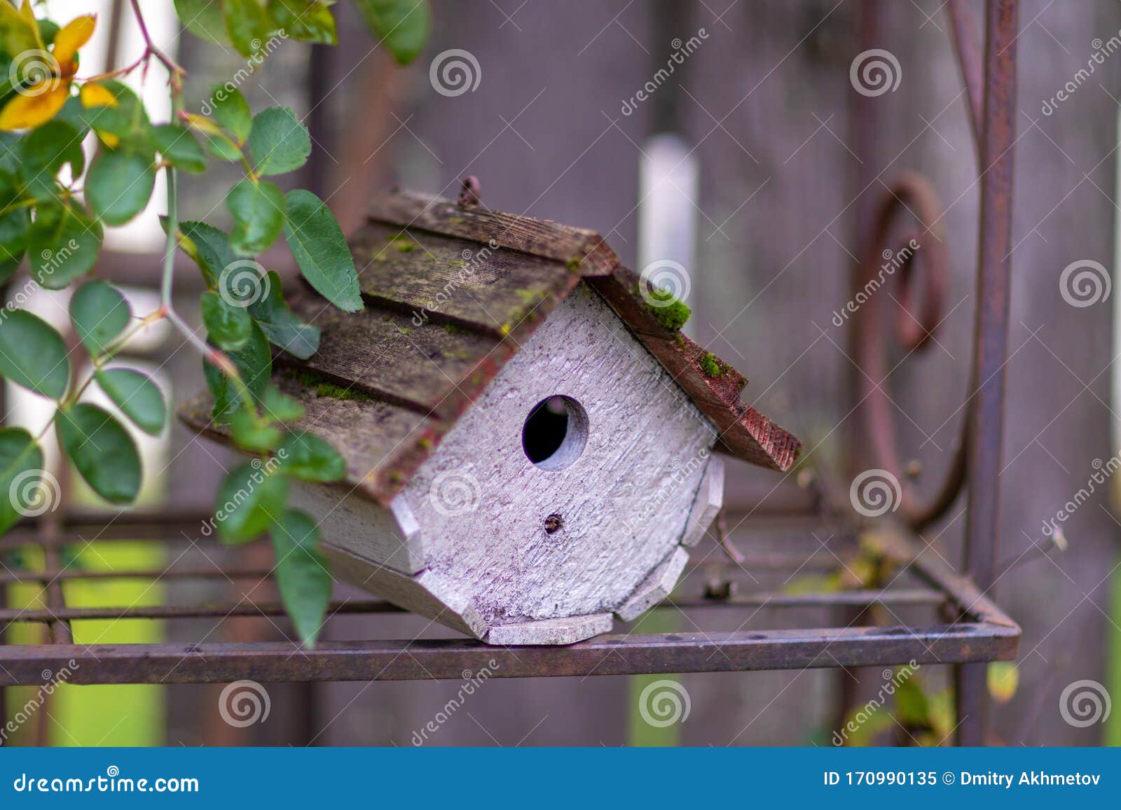 Casa De Pájaros De Madera En Una Estantería Rústica De Metal Imagen de  archivo - Imagen de vida, exterior: 170990135