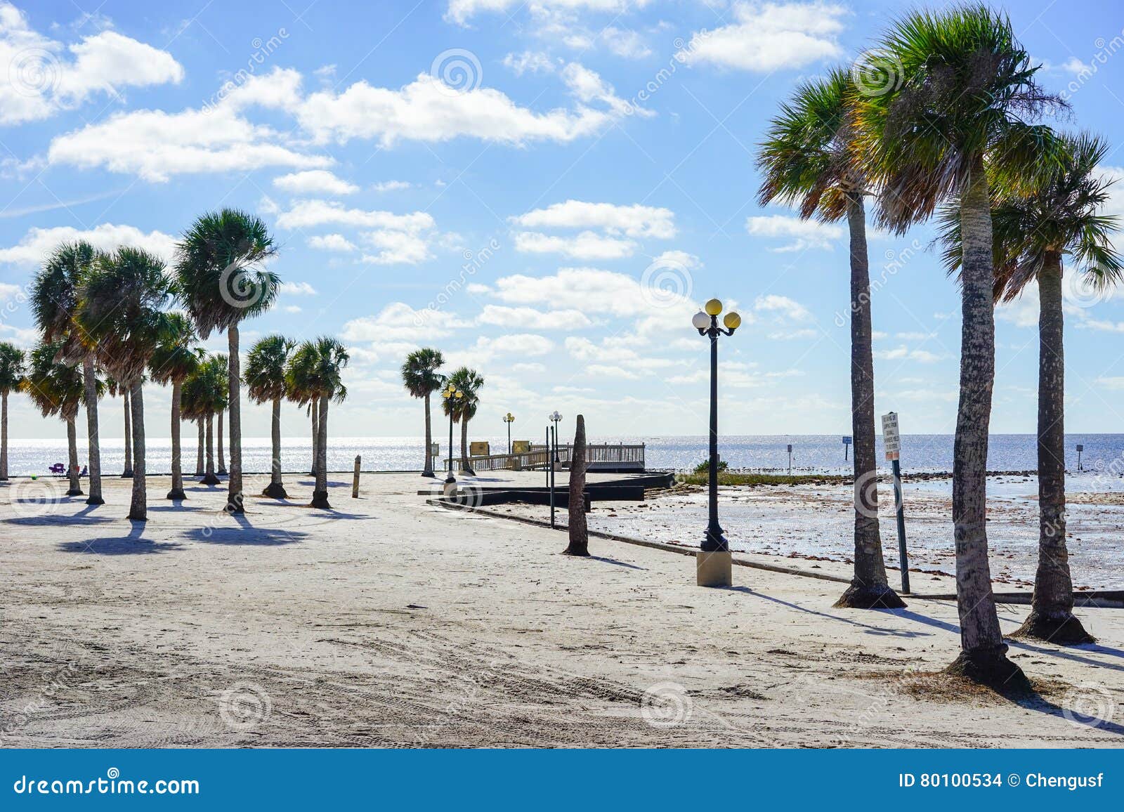 Casa Di Spiaggia Di Hernando Di Florida Fotografia Stock Immagine di
