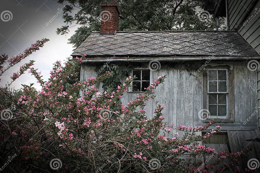 Casa En Una Granja Abandonada Con Flores Rosas Foto de archivo - Imagen