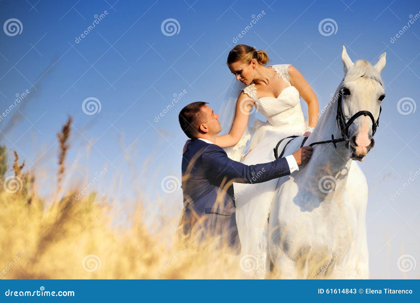 Casamento Noivos com cavalo branco. Casamento Noivos com o cavalo branco no campo