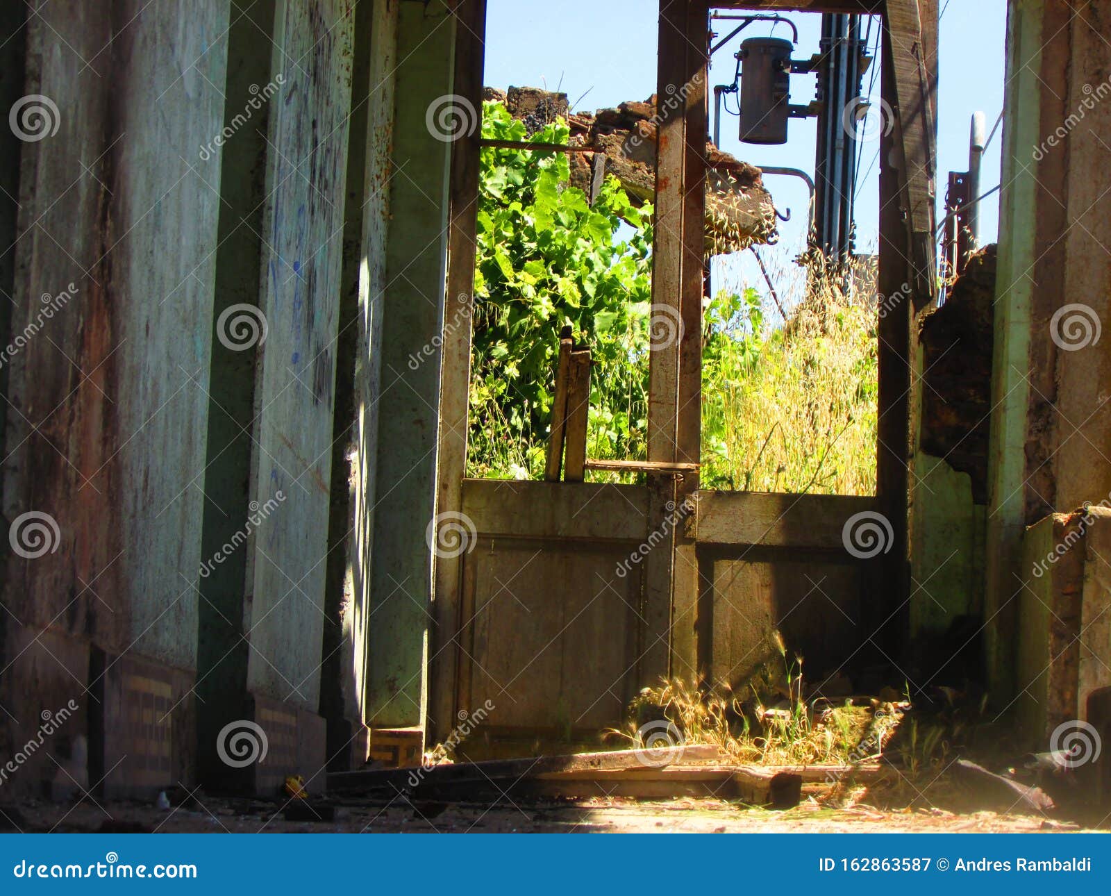 Casas Antiguas Y Abandonadas En El Centro De Chile Imagen de archivo -  Imagen de bosque, grupos: 162863587