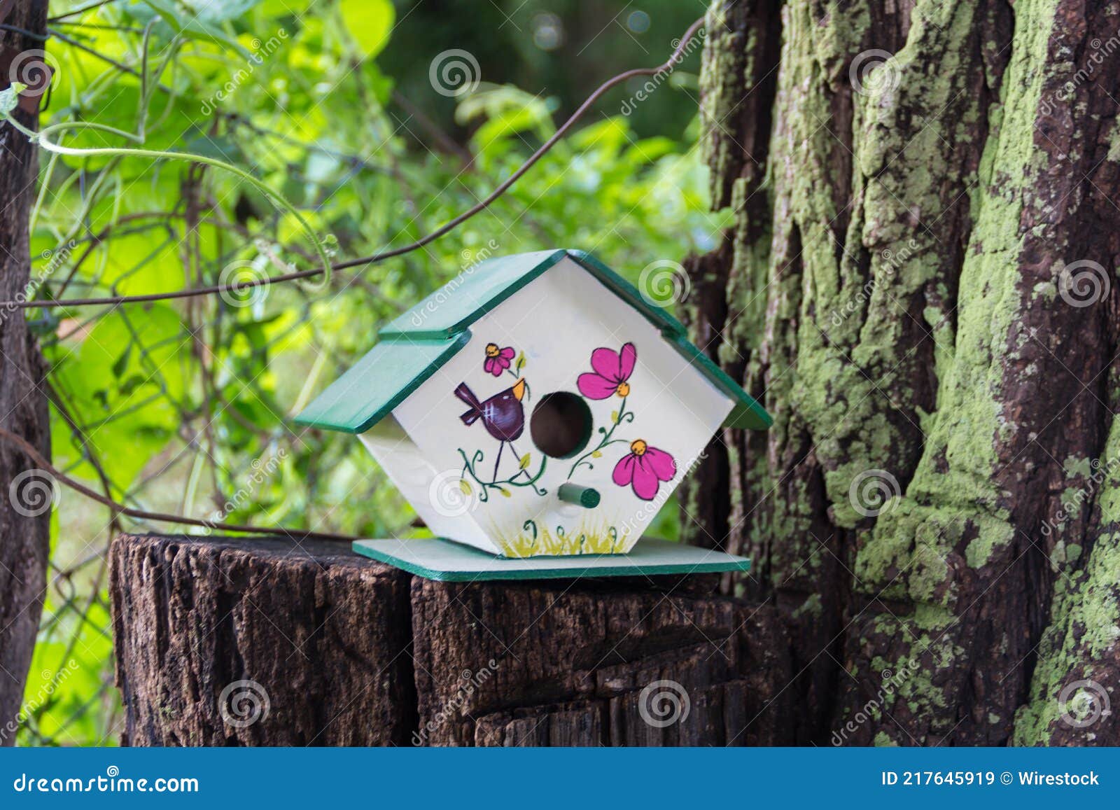 Casas Artesanales Para Pájaros Pintadas a Mano En El Tronco De