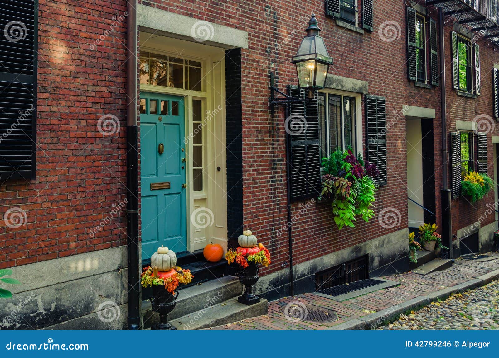 Casas De Cidade Em Beacon Hill Foto de Stock - Imagem de flores, natalia:  42799246