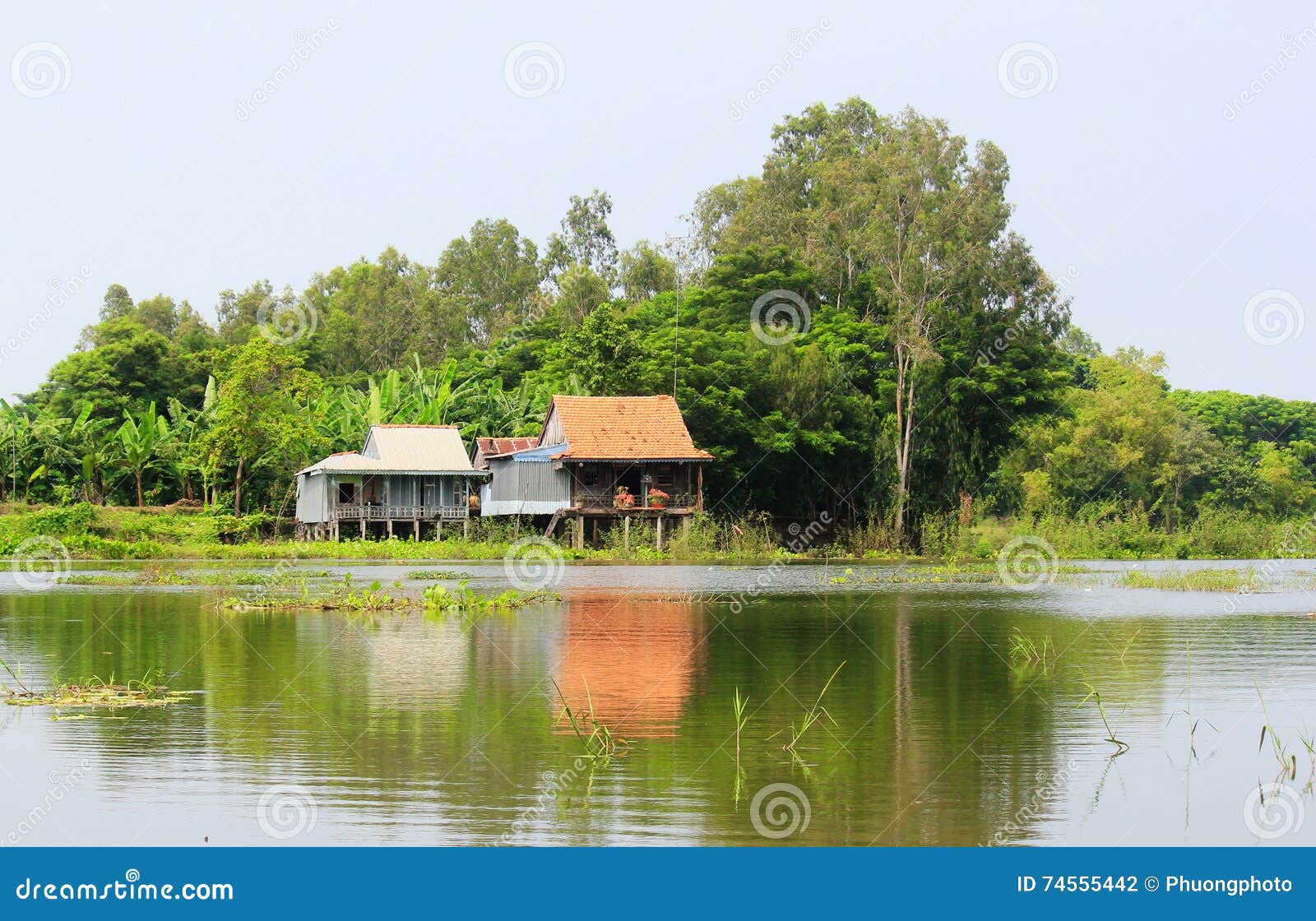 Casas De Madera En La Orilla Del Río En El Delta Del Mekong, Vietnam Foto  de archivo - Imagen de delta, casas: 74555442