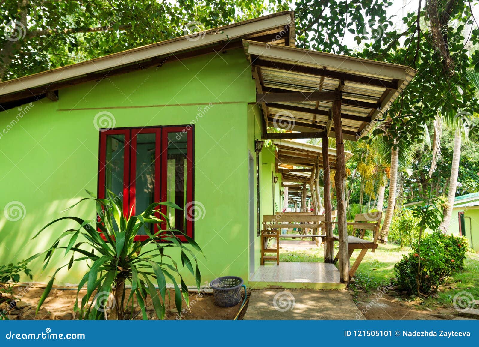 Casas Pintadas Da Cor Verde Na Selva Imagem De Stock Imagem De