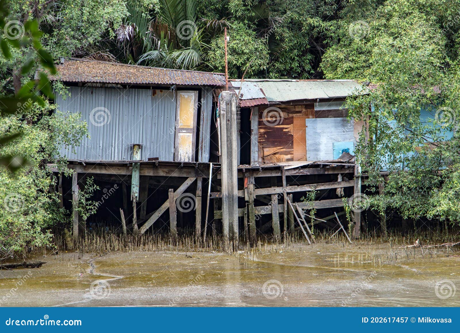 Casas Pobres En La Orilla Del Río Lodoso. Imagen de archivo - Imagen de  casero, suciedad: 202617457