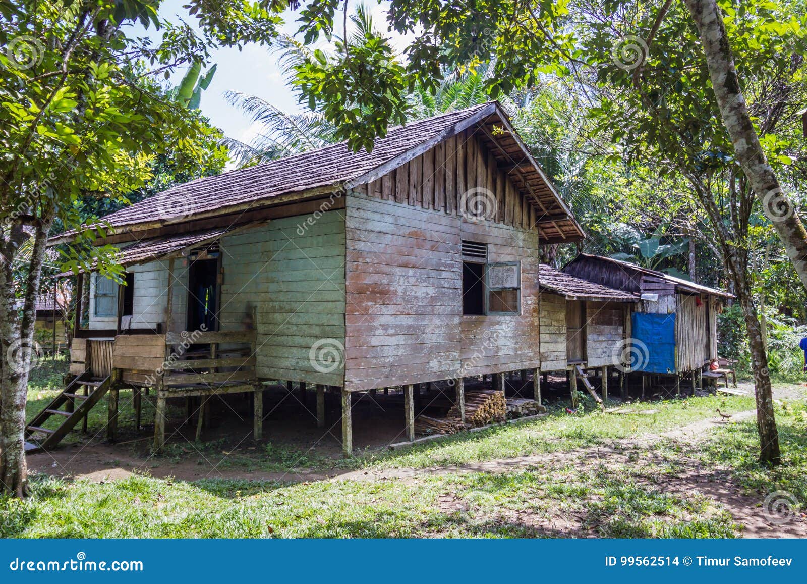 Casas Tradicionales De Los Indígenas De Indonesia En Pueblo Foto de archivo  - Imagen de casa, cultura: 99562514