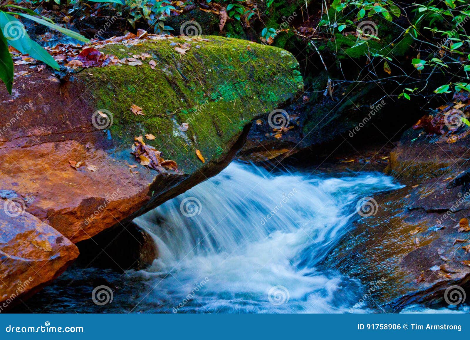 Cascada en Brevard, NC foto de archivo. Imagen de carolina - 91758906, image size:1600x1157