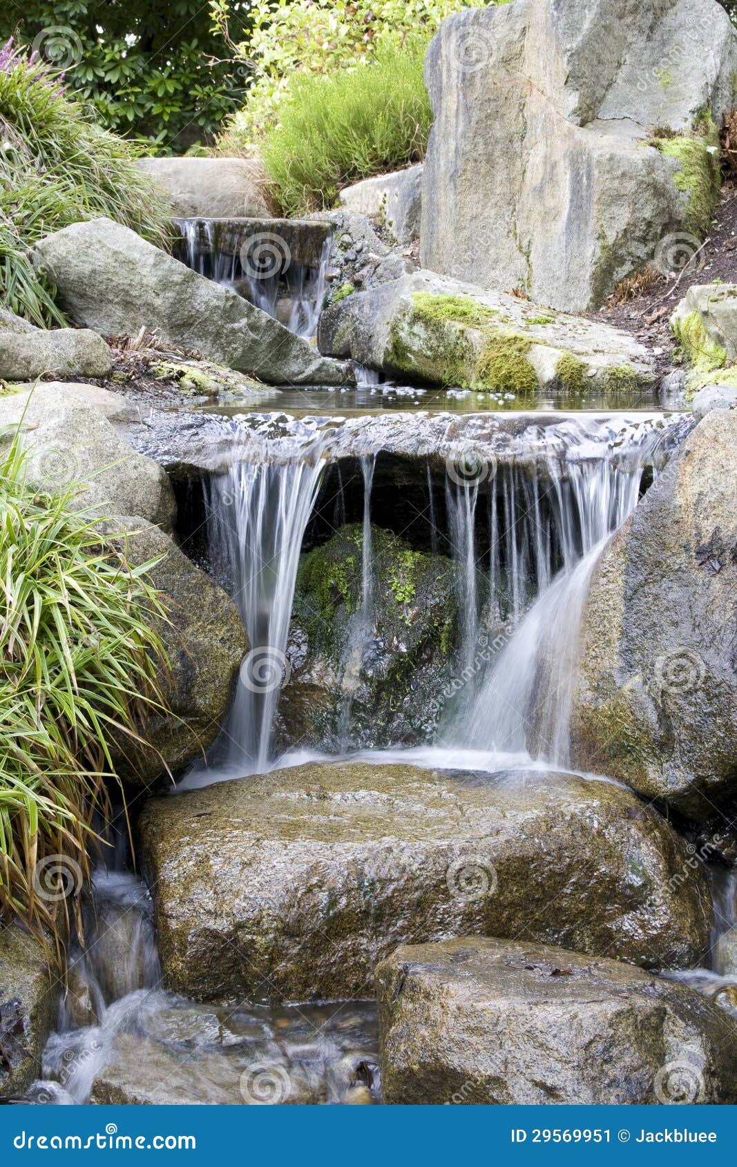 Cascada en jardín japonés imagen de archivo. Imagen de plantas - 29569951